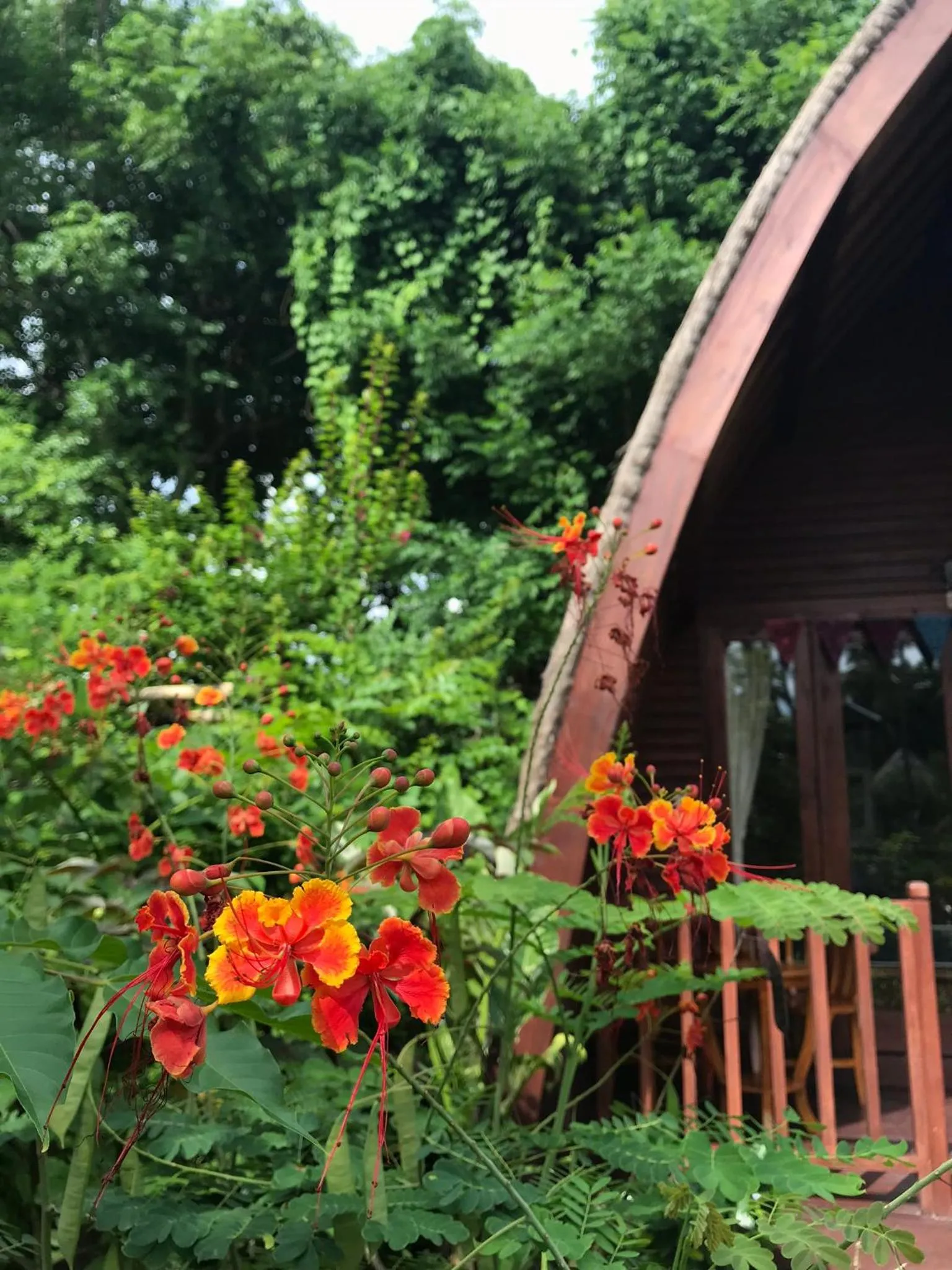 Patio in Meno Madia Bungalows