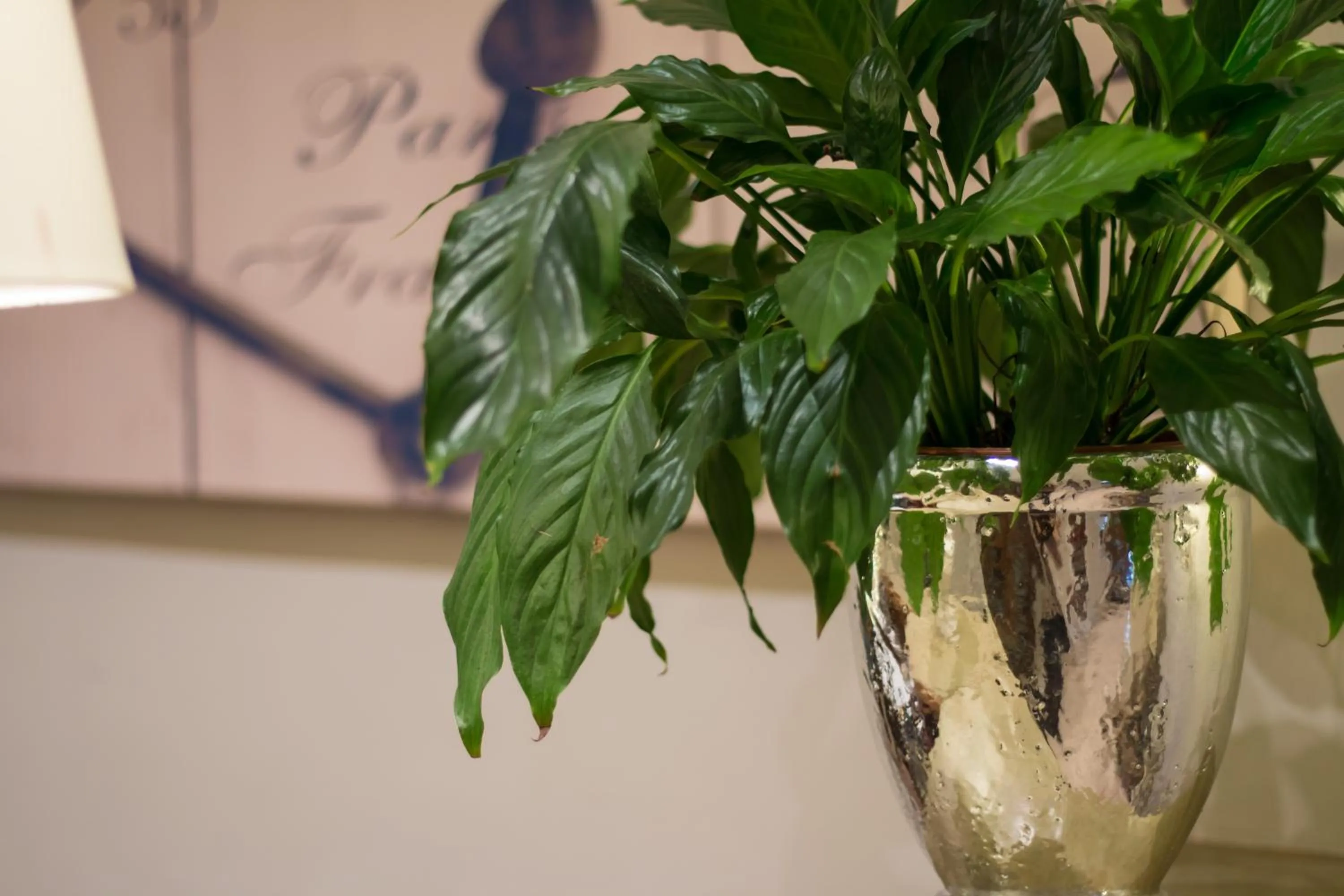 Decorative detail in Villa Bucher - Metnitztalerhof