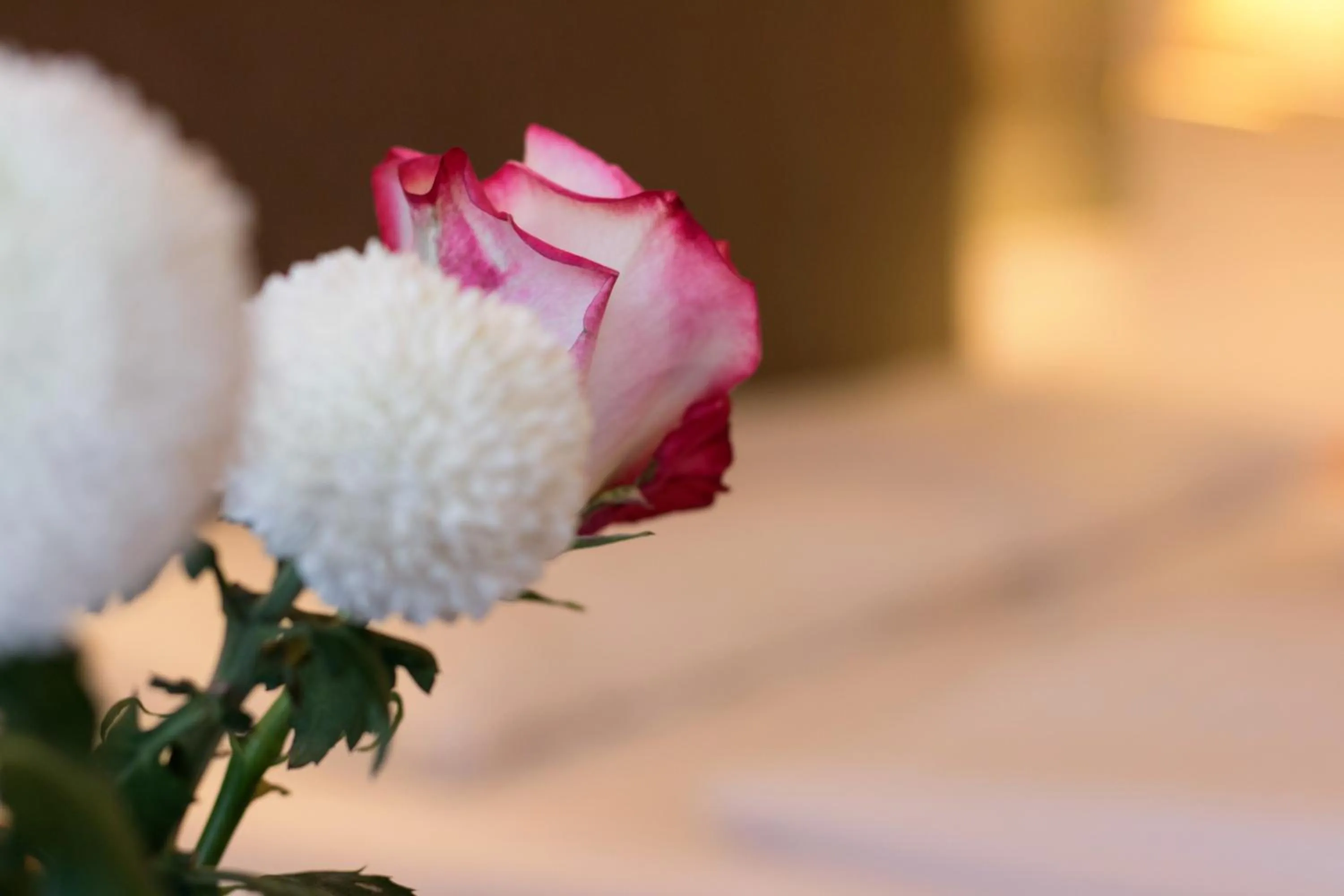 Other in Villa Bucher - Metnitztalerhof