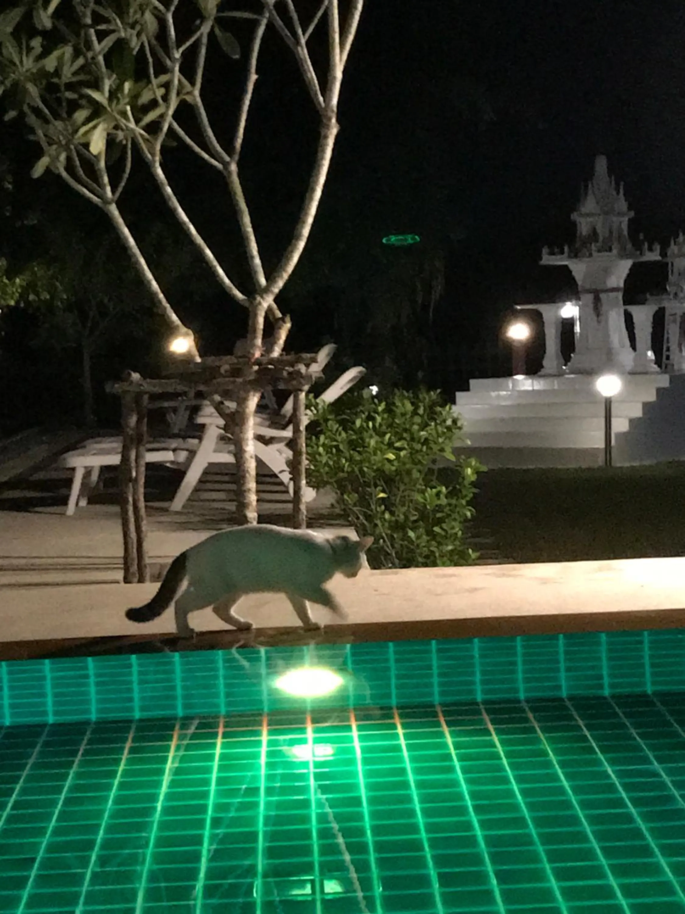 Saree Lagoon Villa Koh Samui