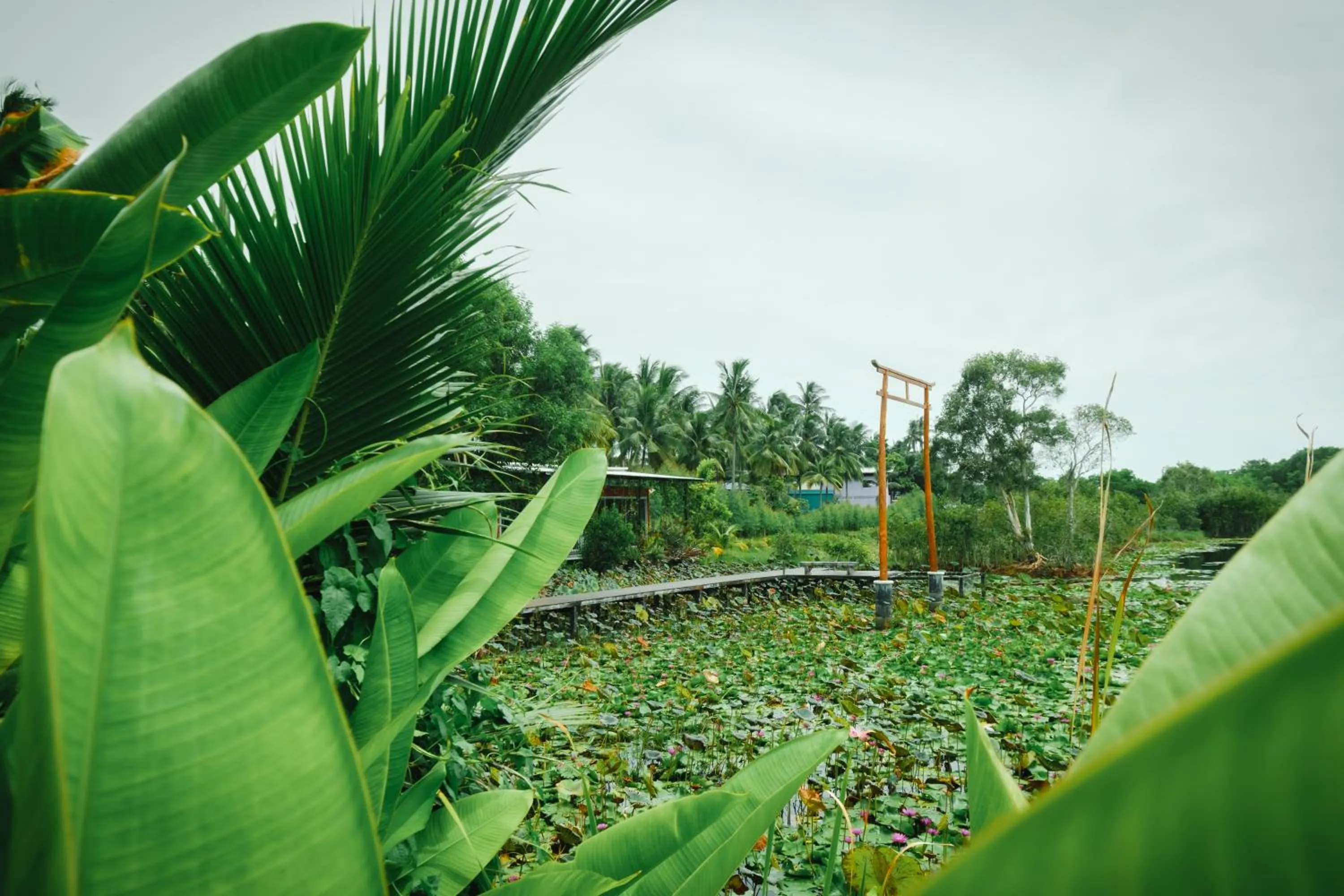 Saree Lagoon Villa Koh Samui