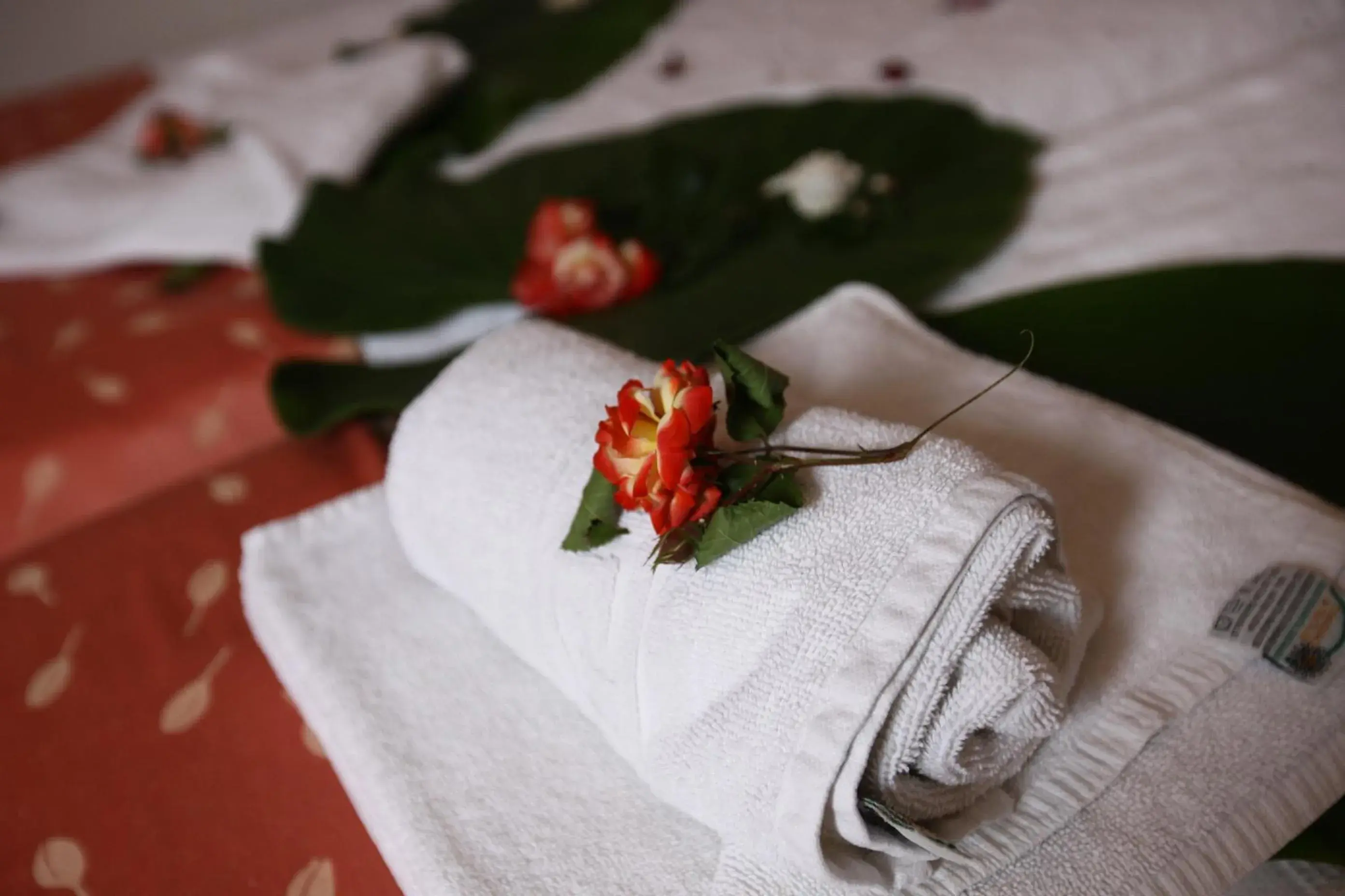 Studio in Ormos Atalia Studio in Ormos Atalia