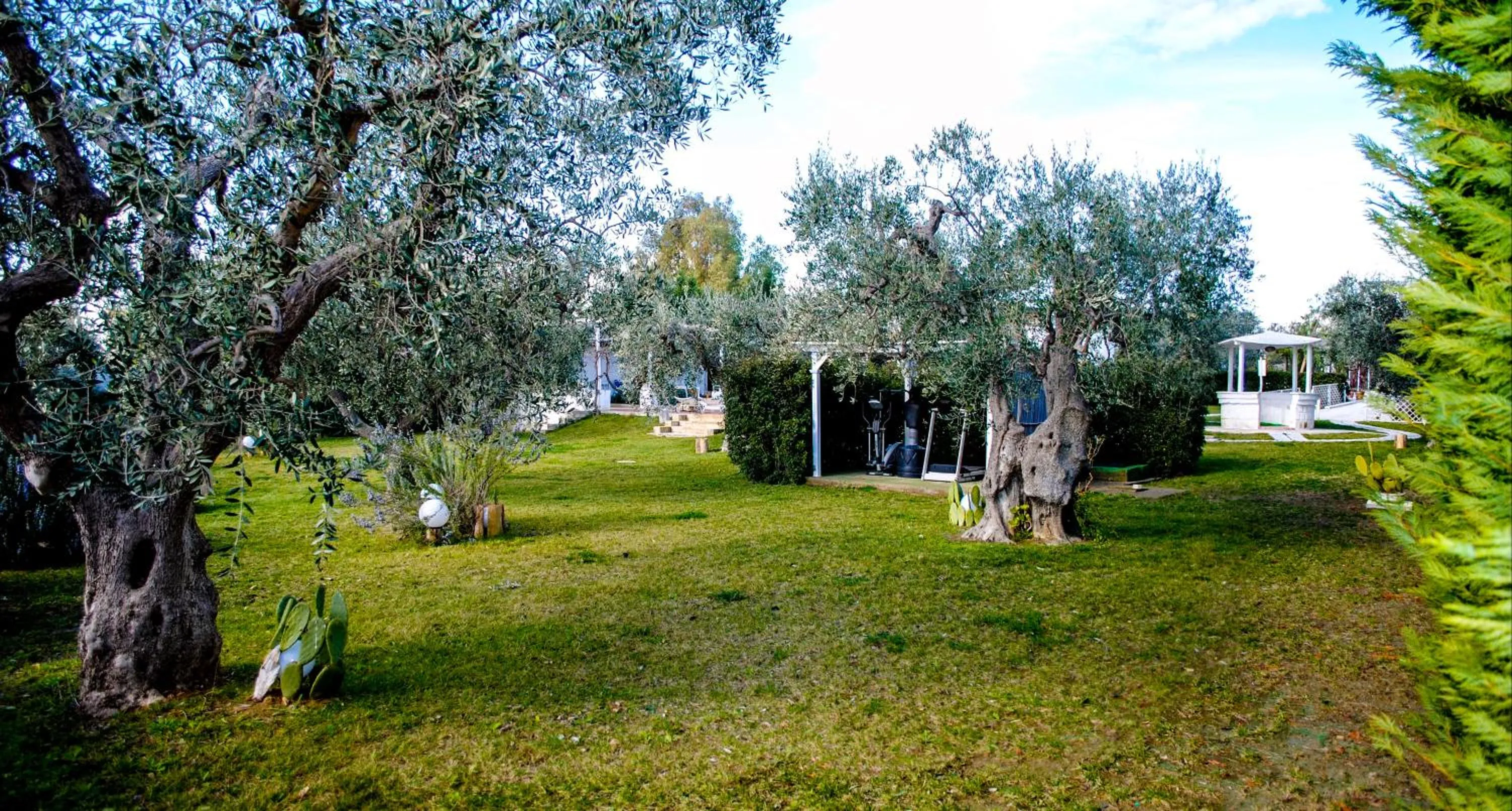 Garden in Hotel Giardino Giamperduto