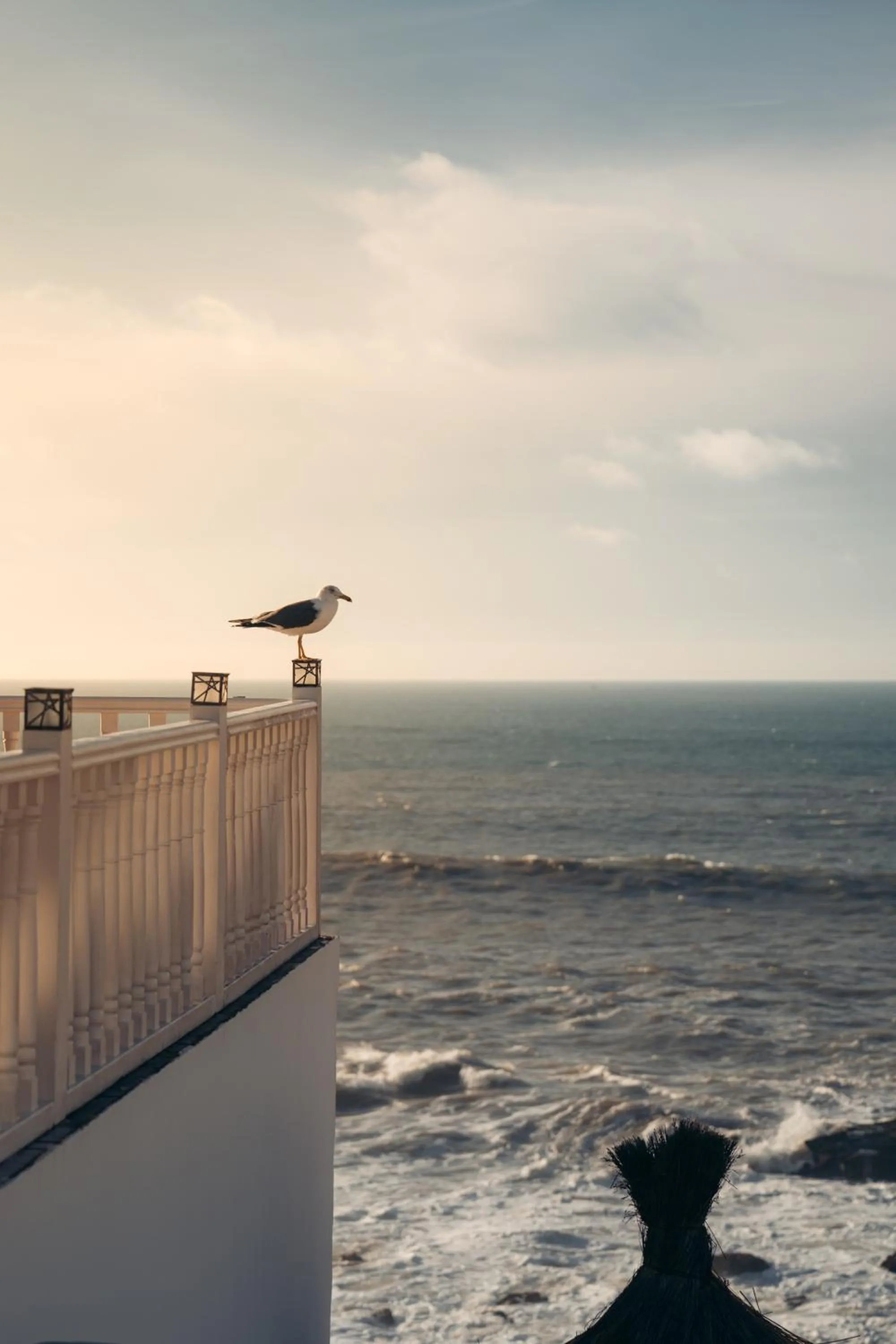 Balcony/Terrace in SALUT MAROC! Luxury Boutique Hotel & Restaurant