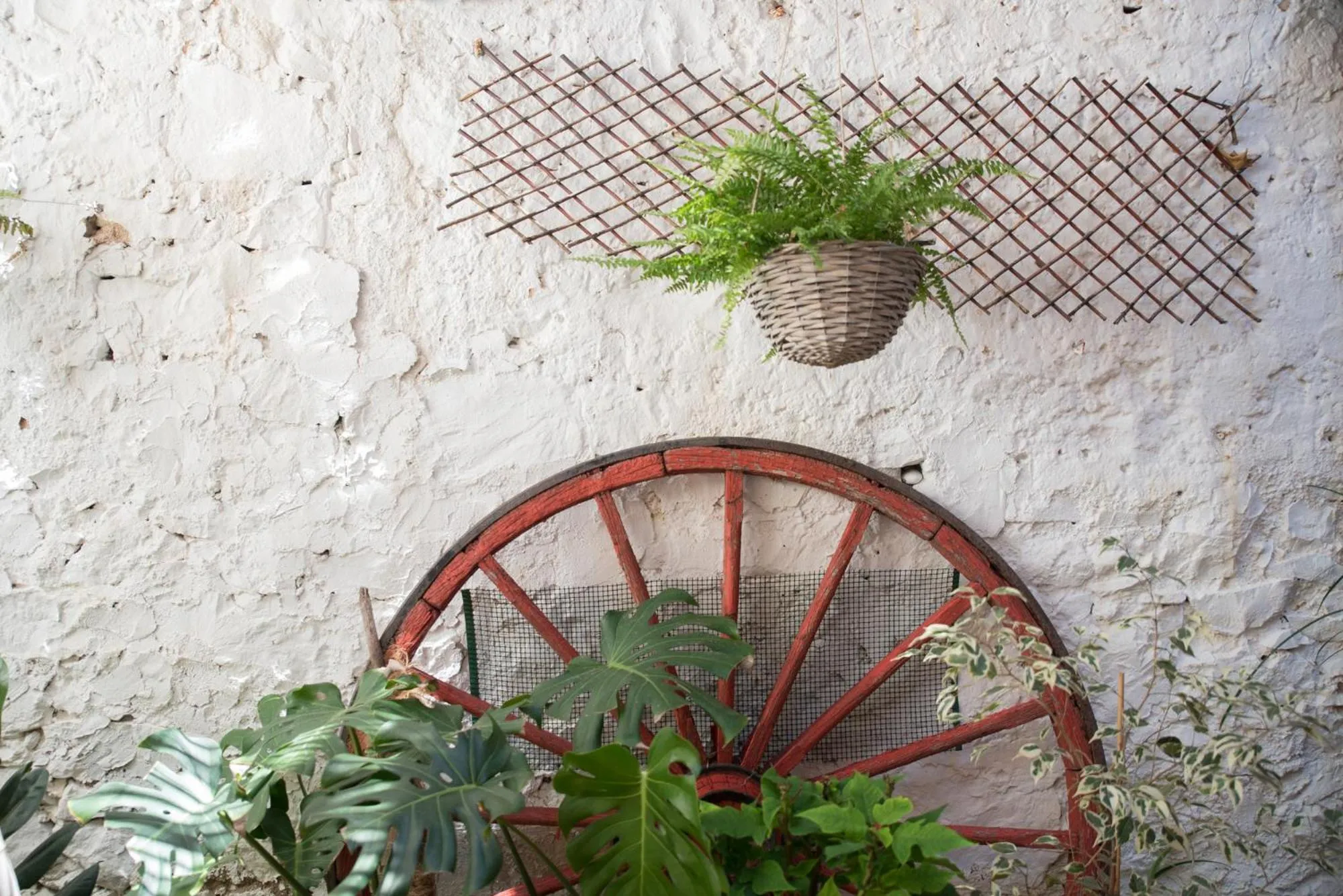 Garden in Casa Arizo, Hotel Boutique