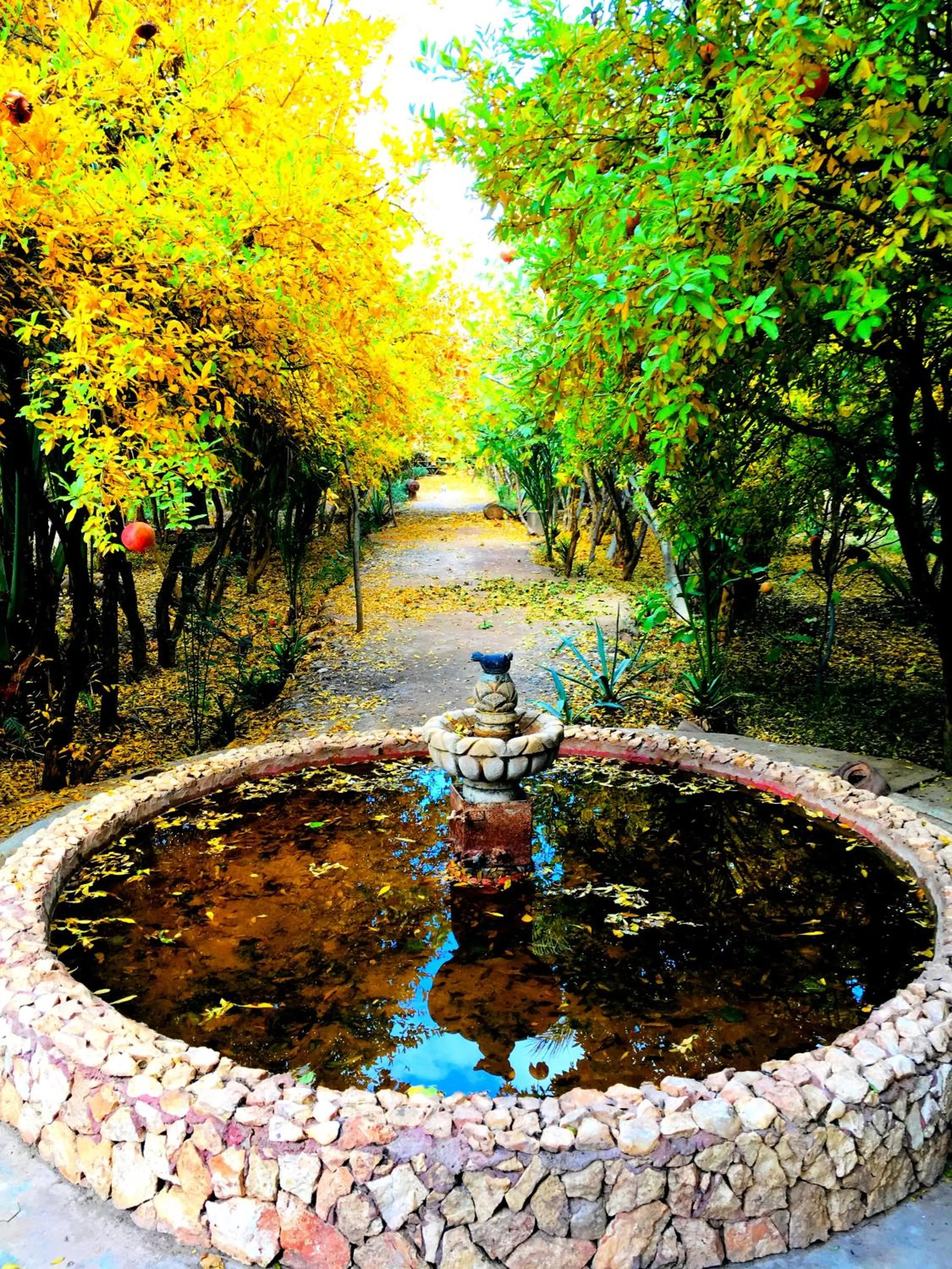 Garden in Kasbah Tiriguioute