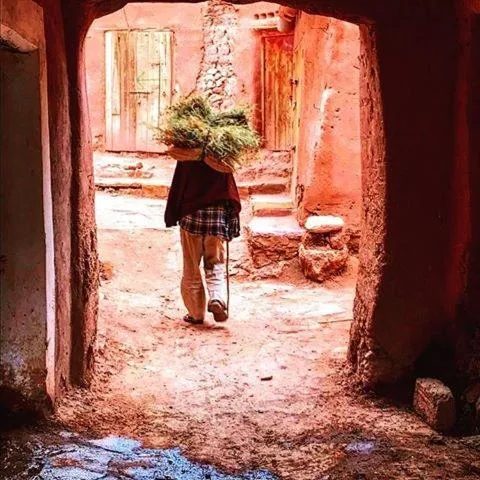 Hiking in Kasbah Tiriguioute