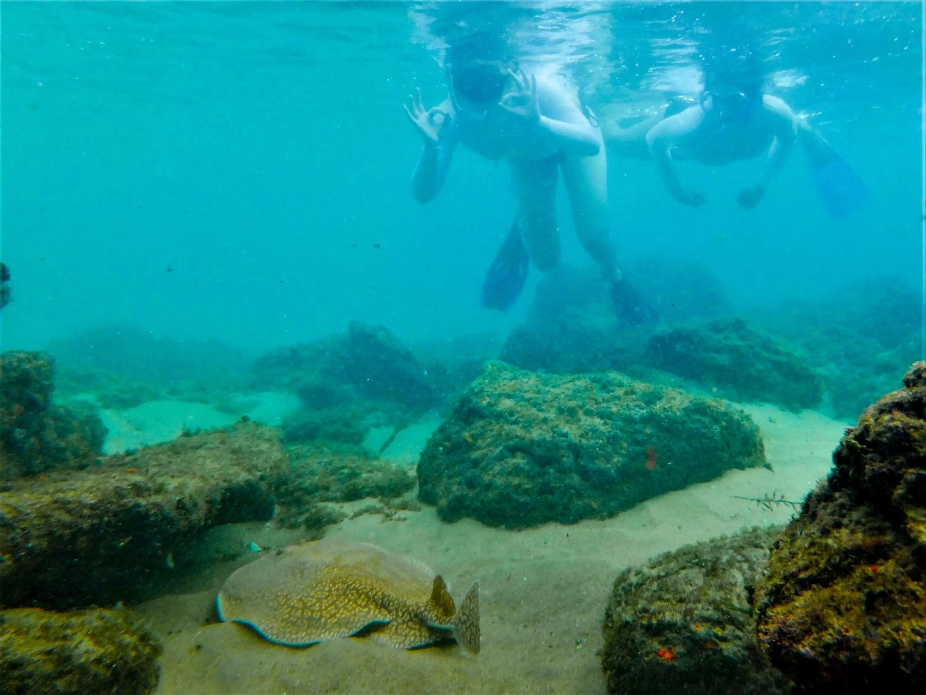 Snorkeling in Lodge Afrique