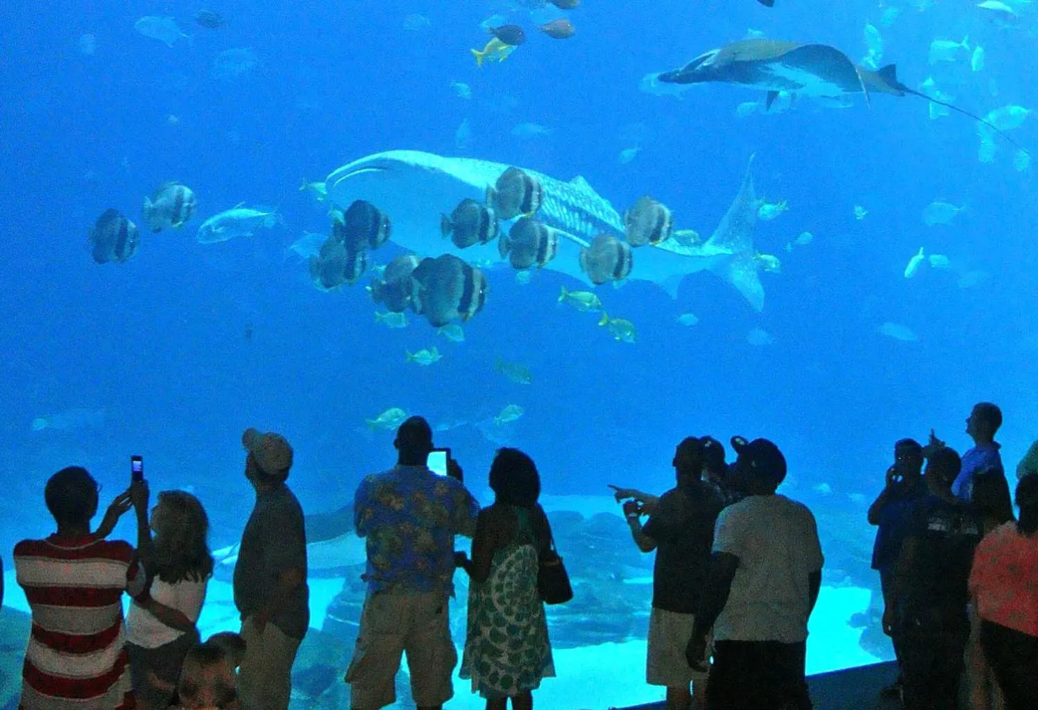 Entertainment in Arrayanes Playa Almuñecar