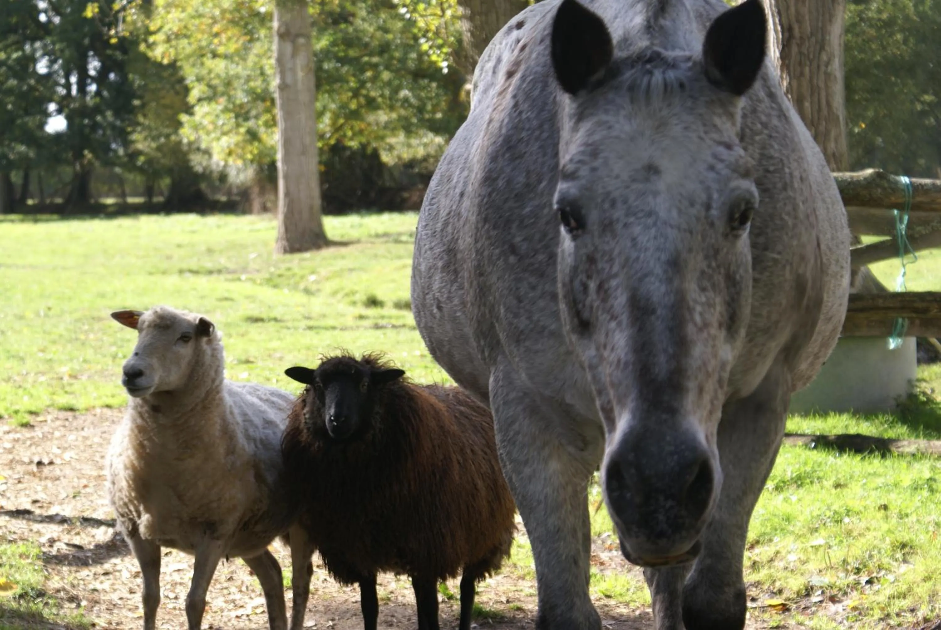 Property building in Moulin de Champrond -Montmirail -Sarthe