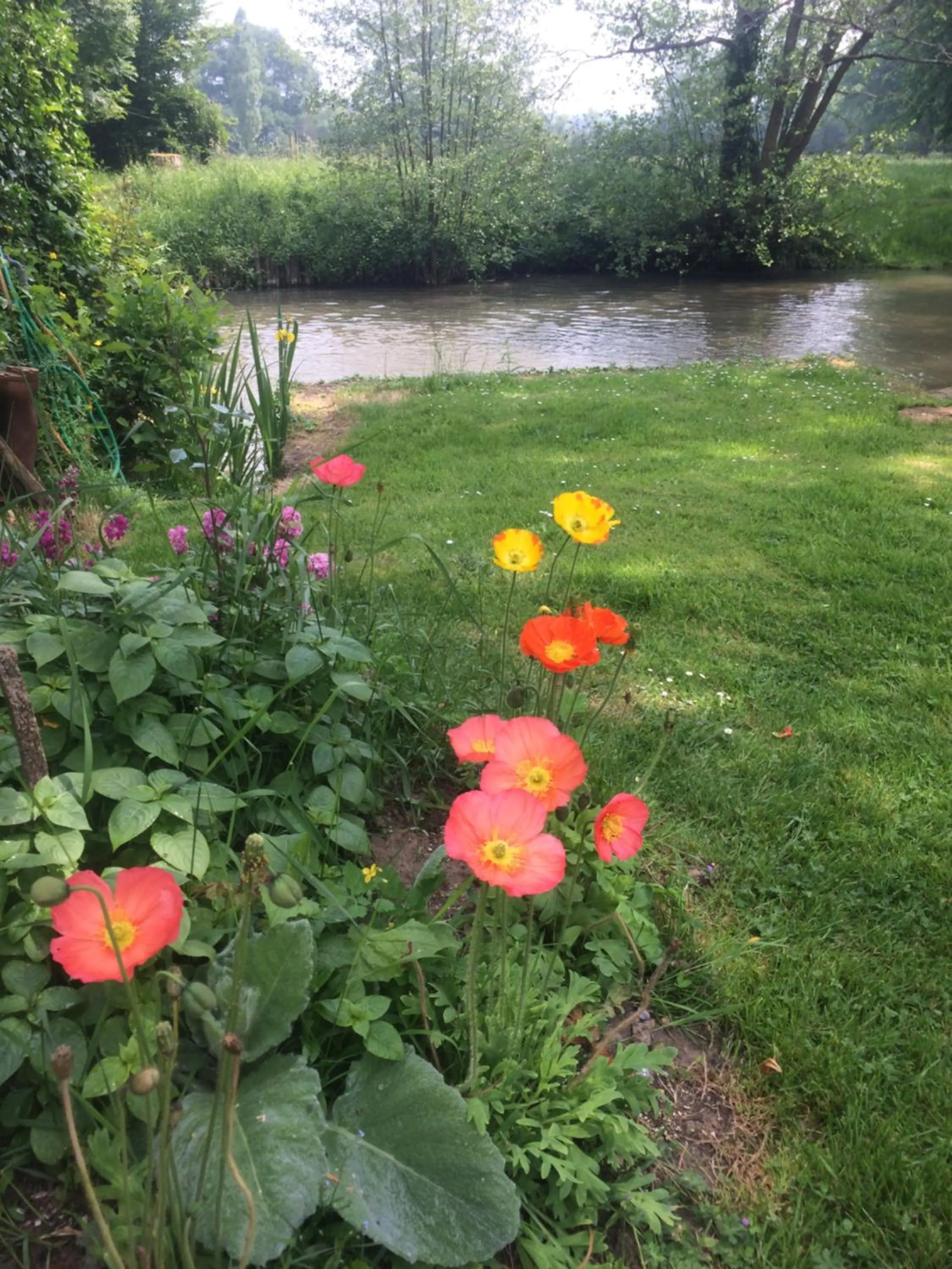 Garden in Moulin de Champrond -Montmirail -Sarthe