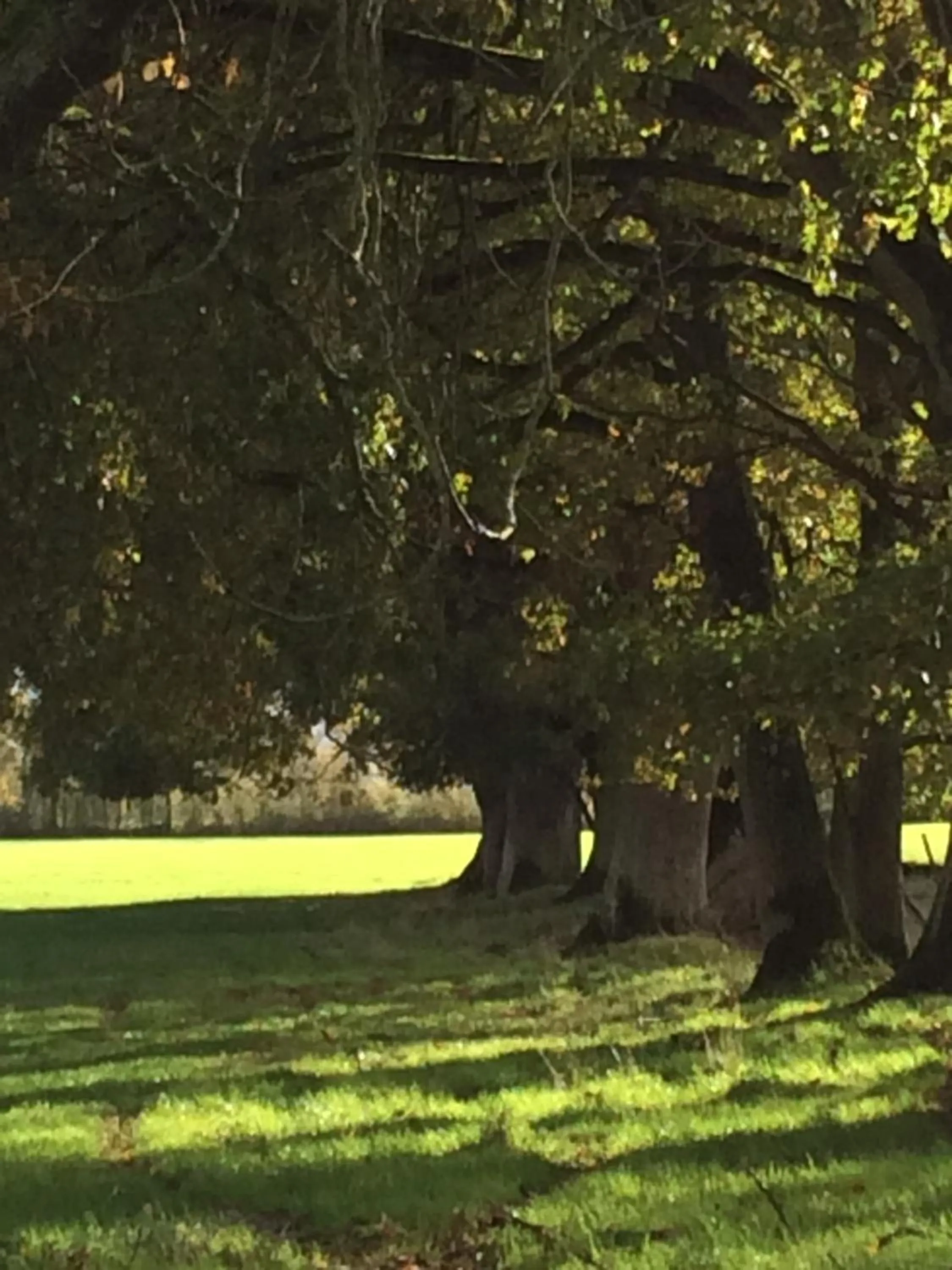 Moulin de Champrond -Montmirail -Sarthe