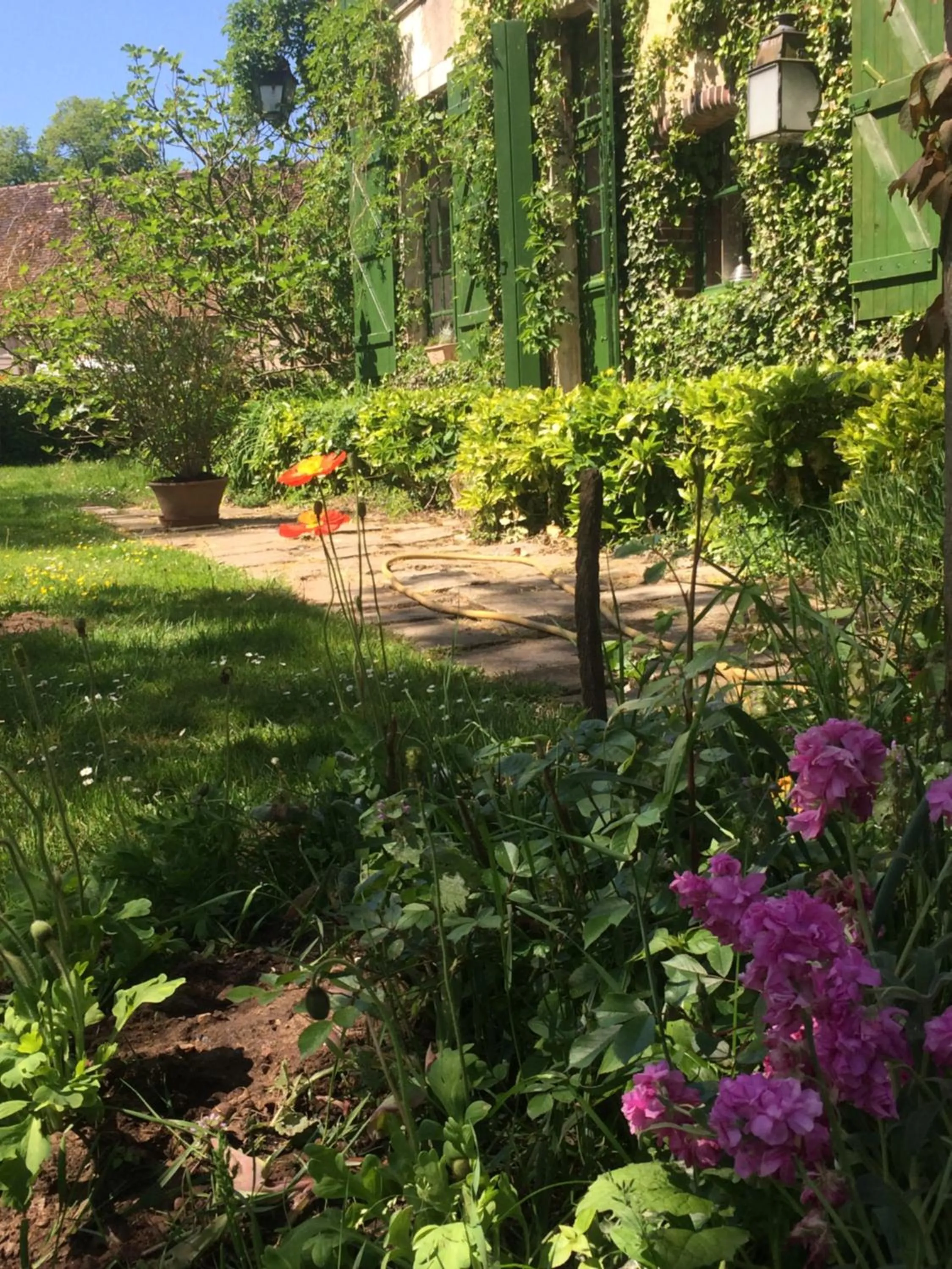 Garden in Moulin de Champrond -Montmirail -Sarthe