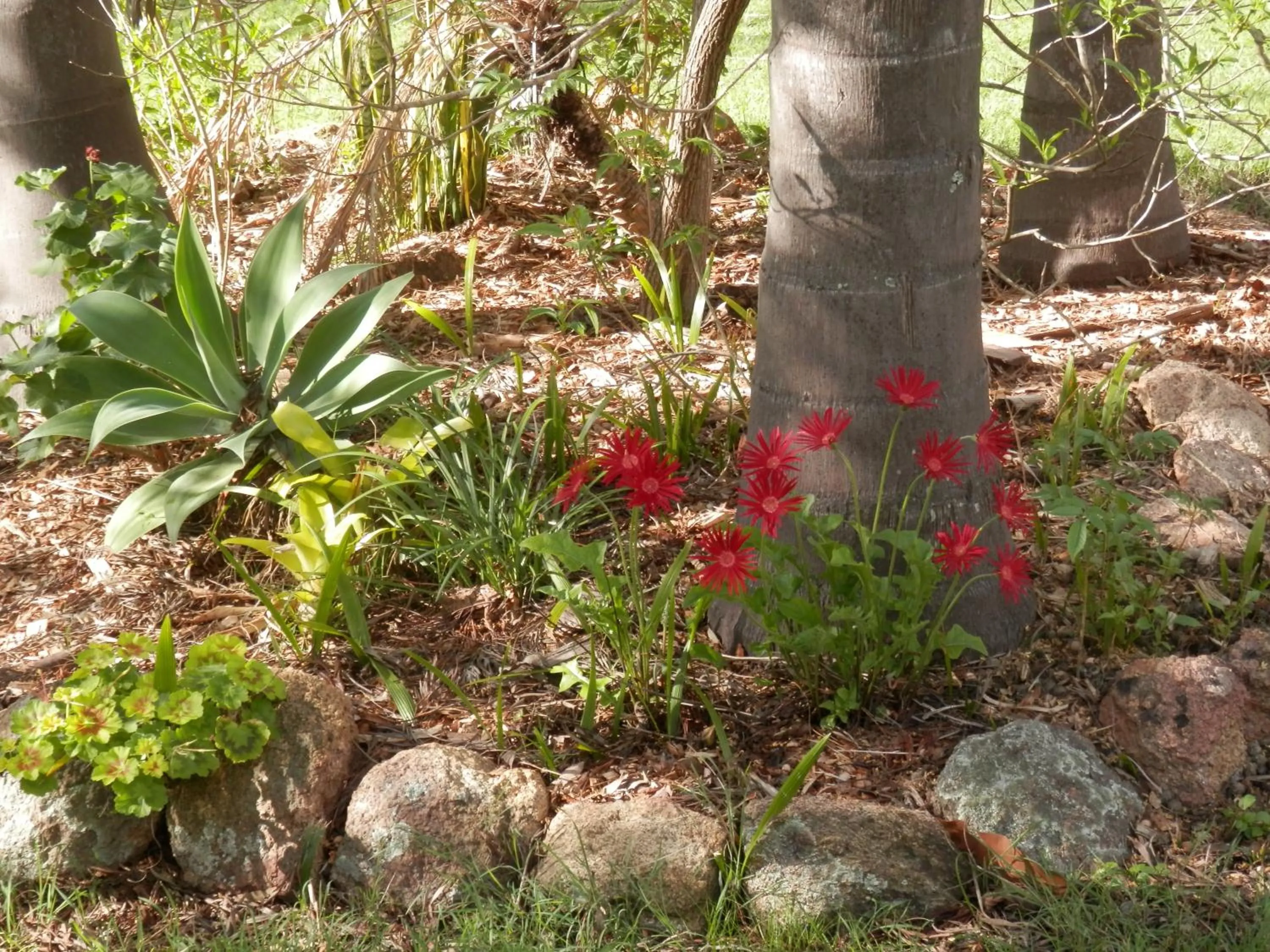 Wondai Hideaway Apartment