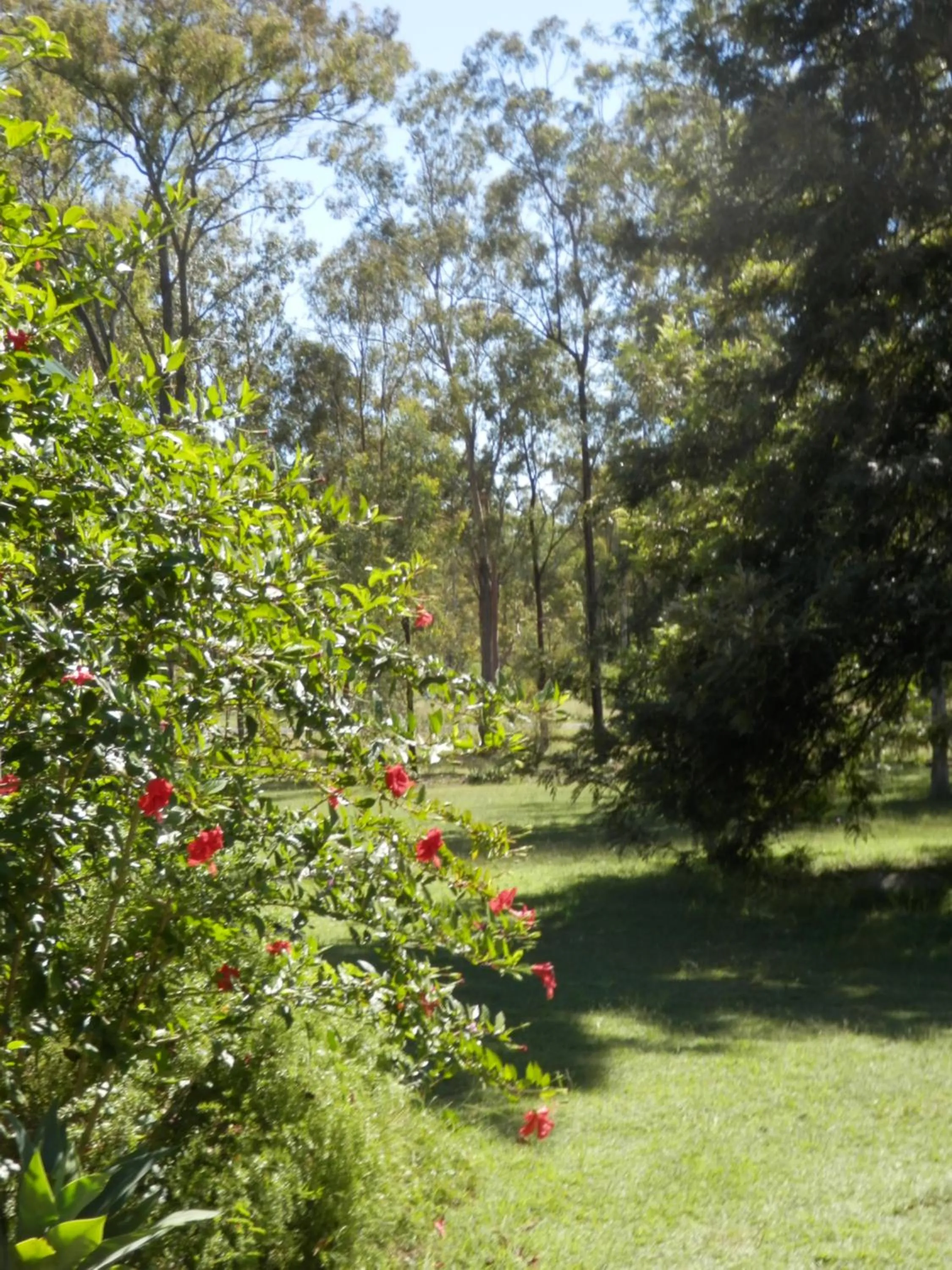 Wondai Hideaway Apartment