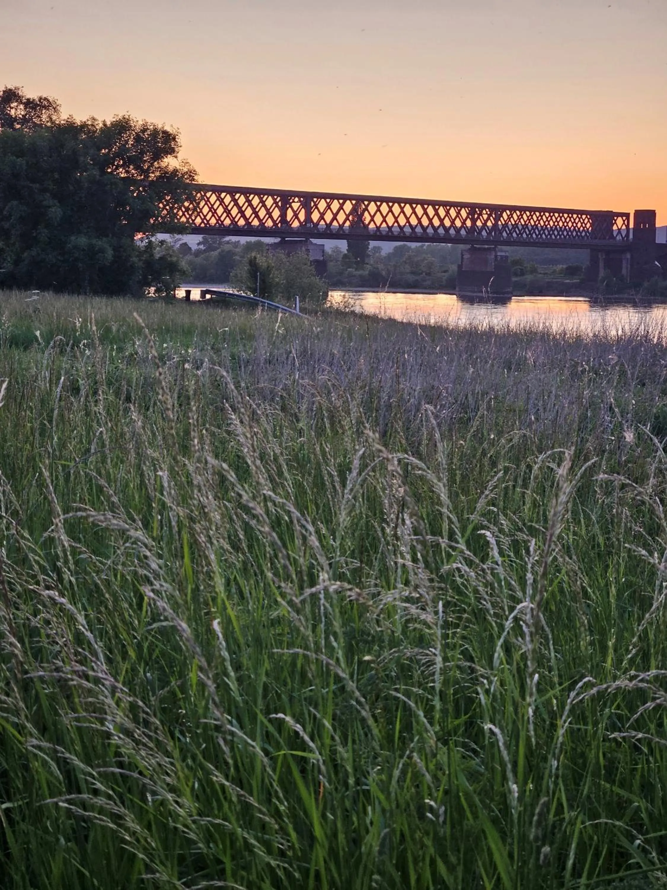 Area and facilities in Rheinhotel Larus