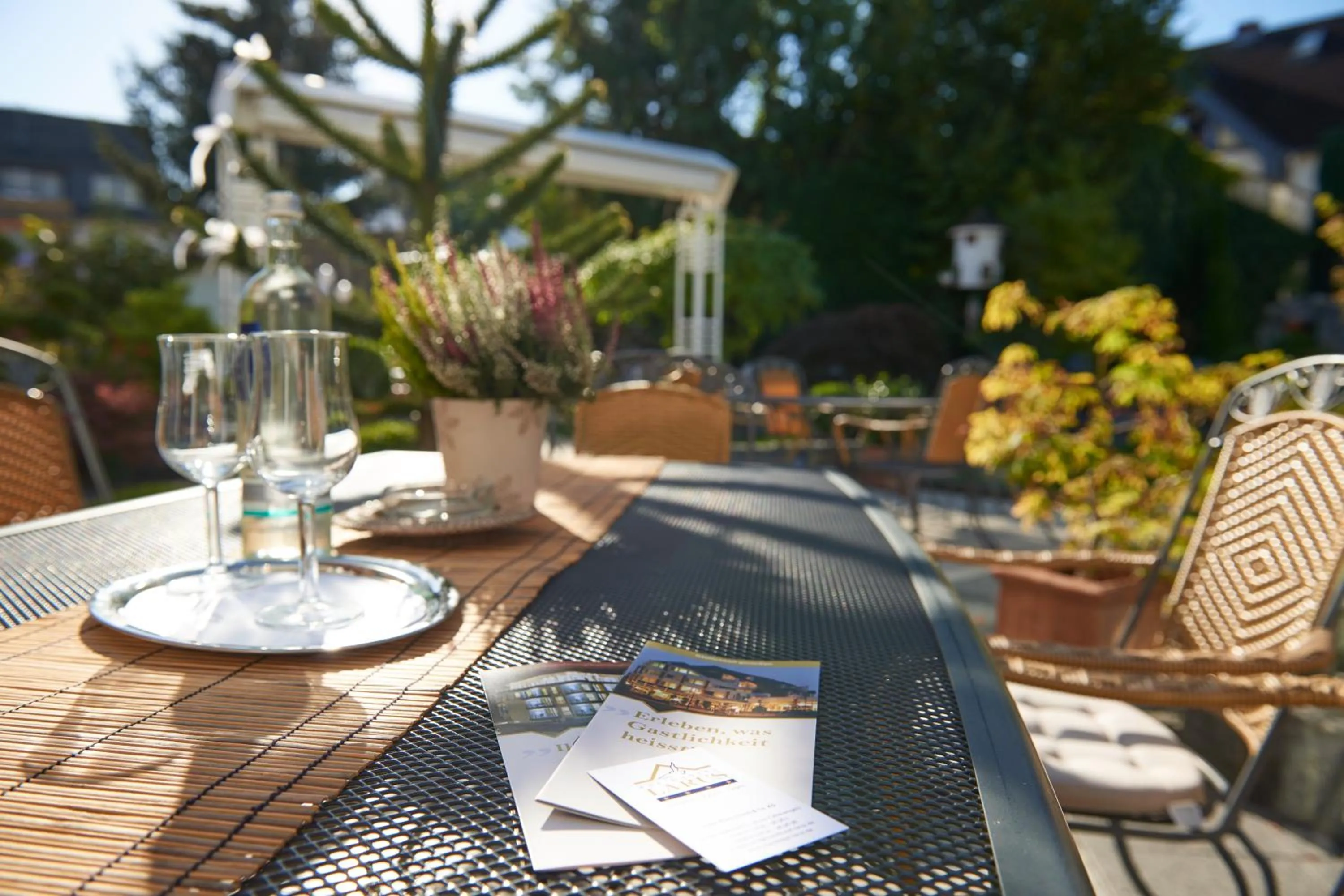 Garden in Rheinhotel Larus