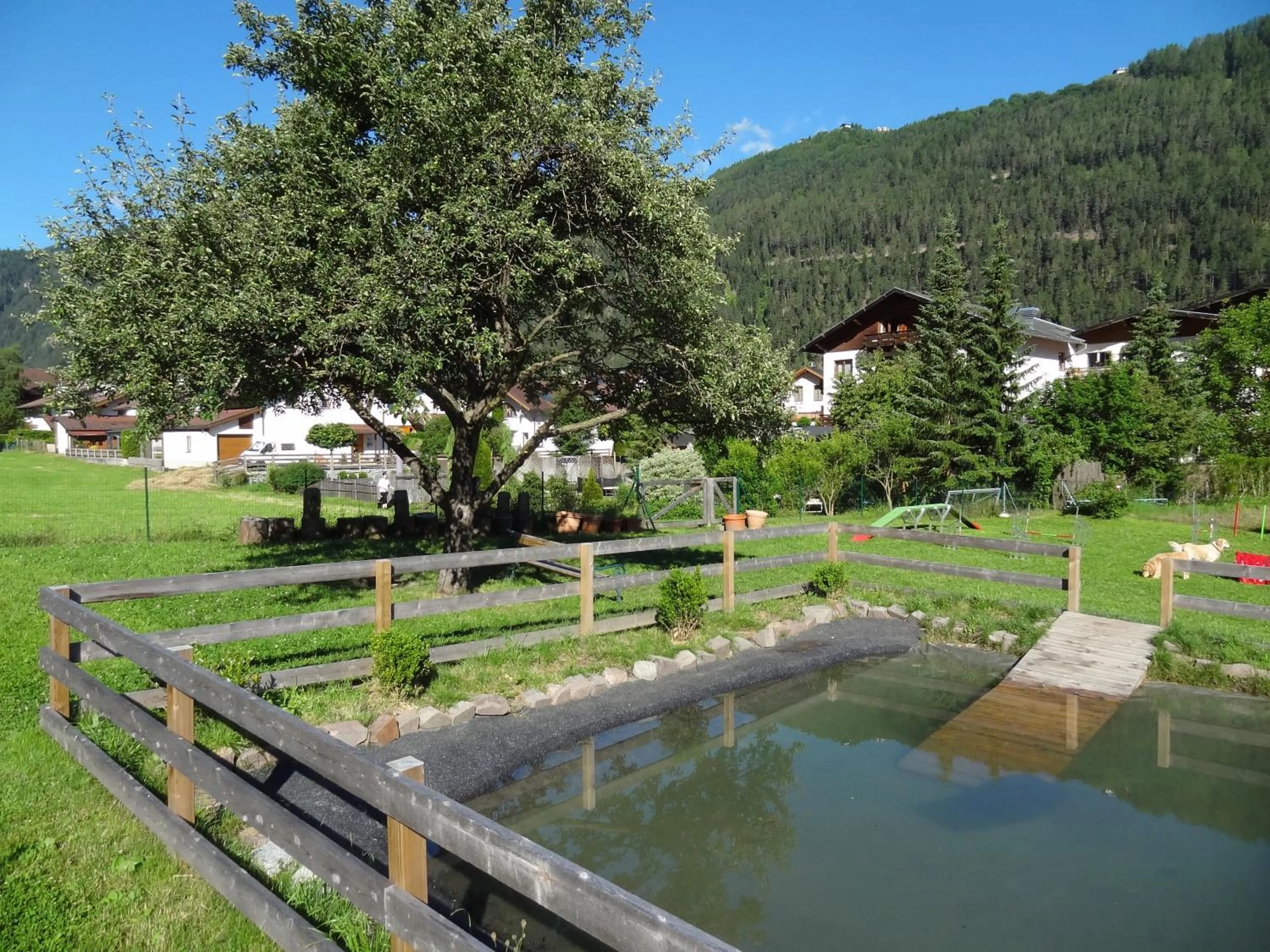 Animals in Hotel Riederhof- Urlaub mit WAU!