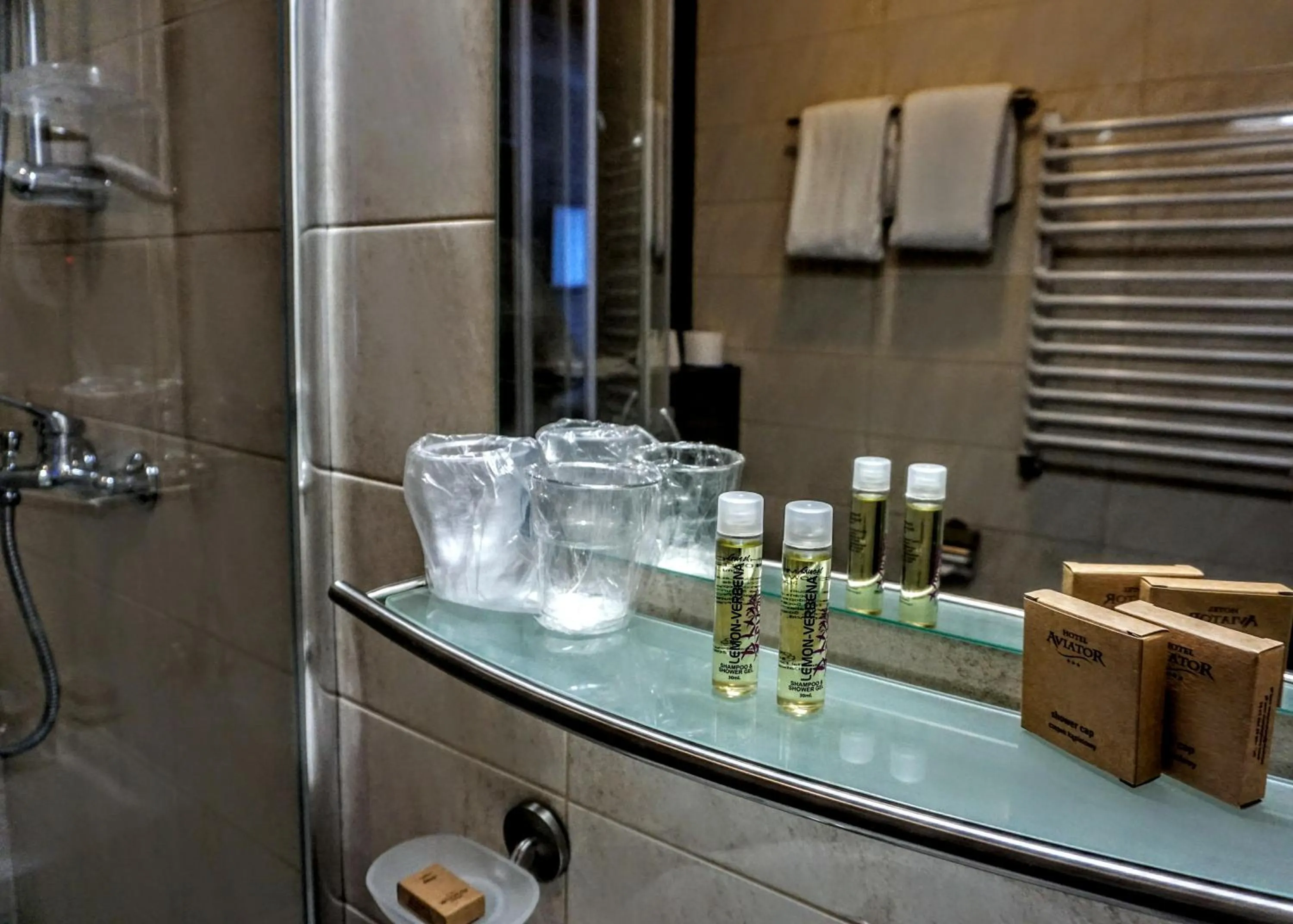 Aviator Hotel Restauracja & SPA