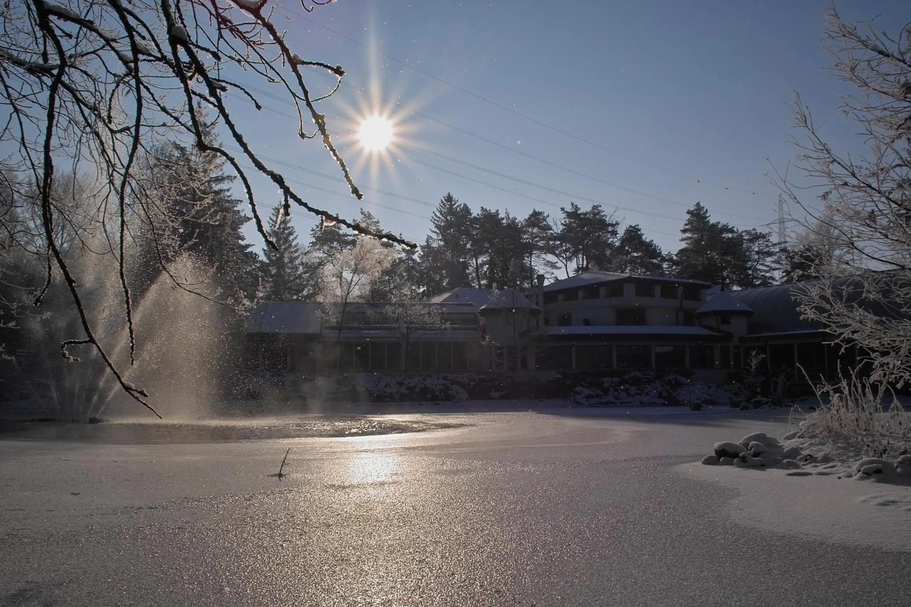 Restaurant/places to eat in Hotel Restaurant Florida