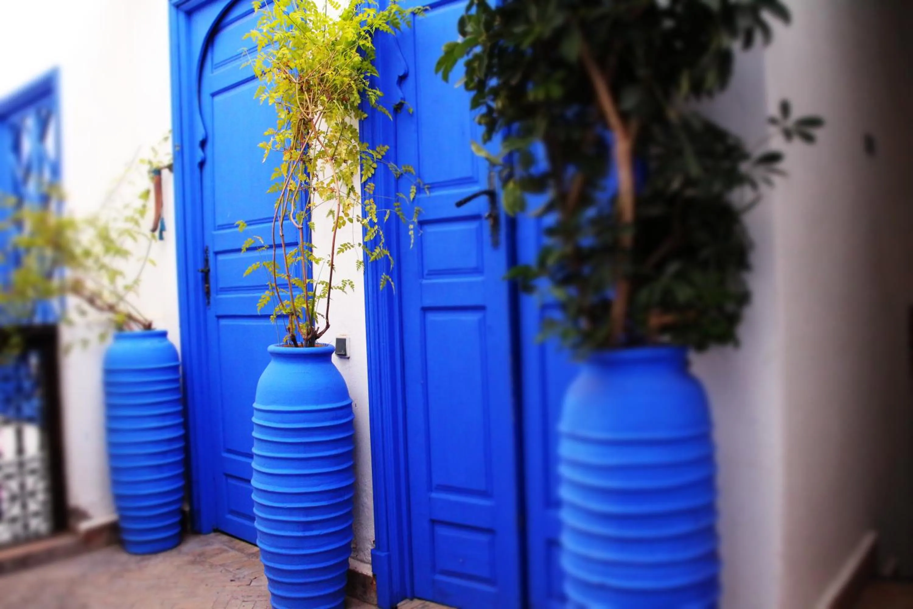 Property building in Riad Ayadina & SPA