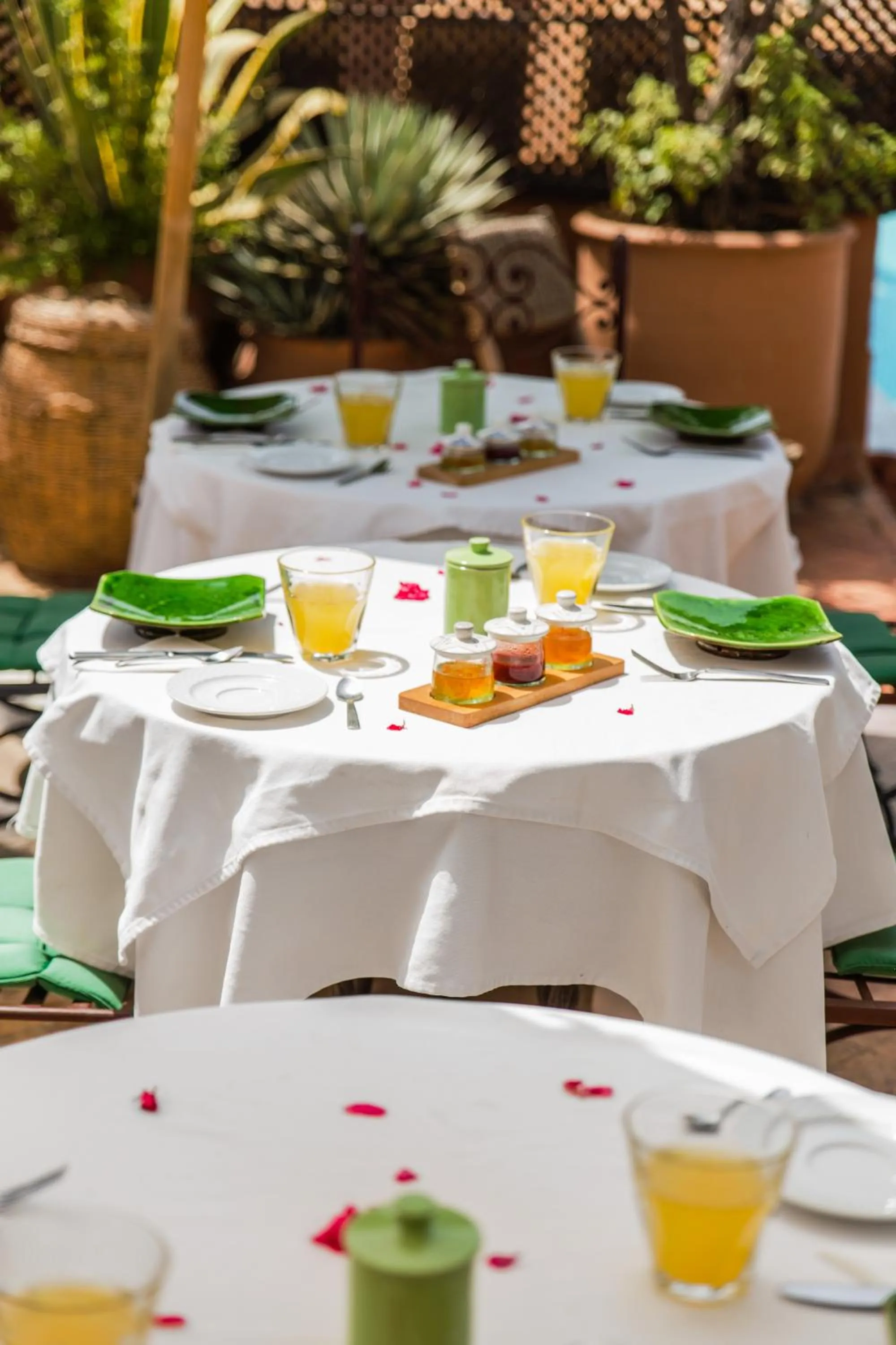 Spring in Riad Ayadina & SPA