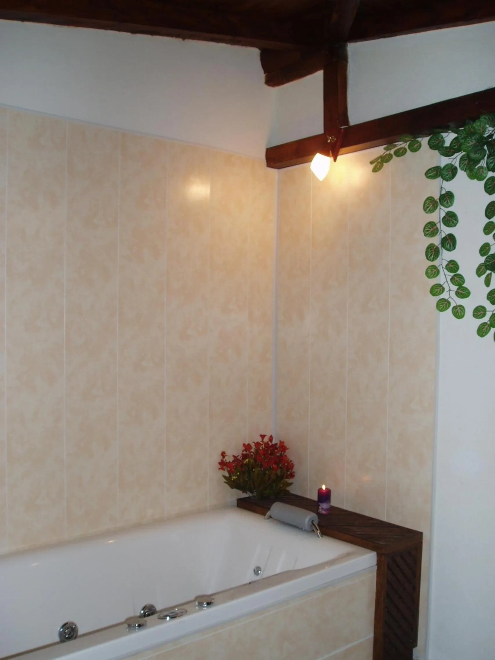 Hot Spring Bath in Family complex Mountain Romance Apartments