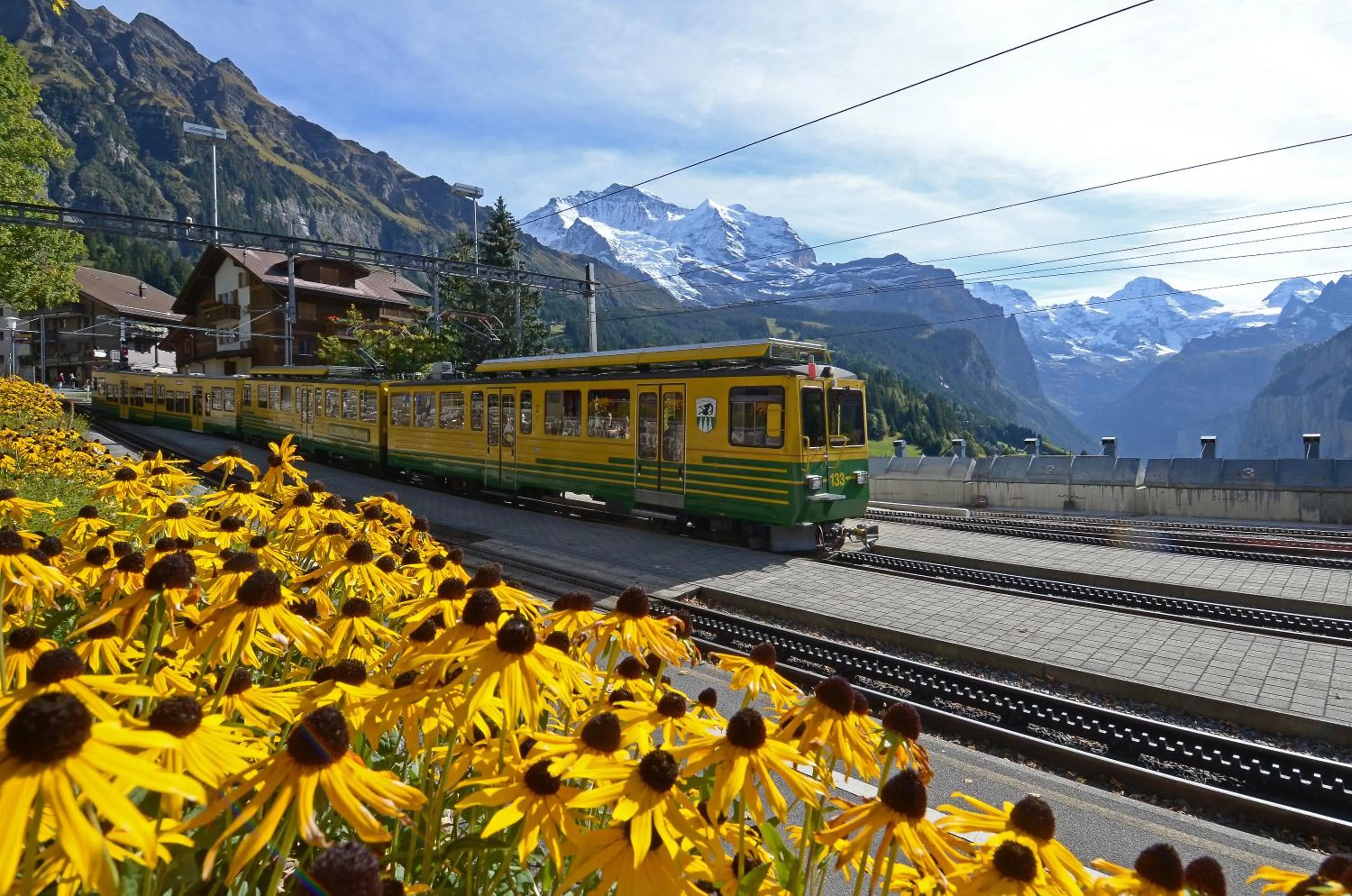 Area and facilities in Hotel Maya Caprice