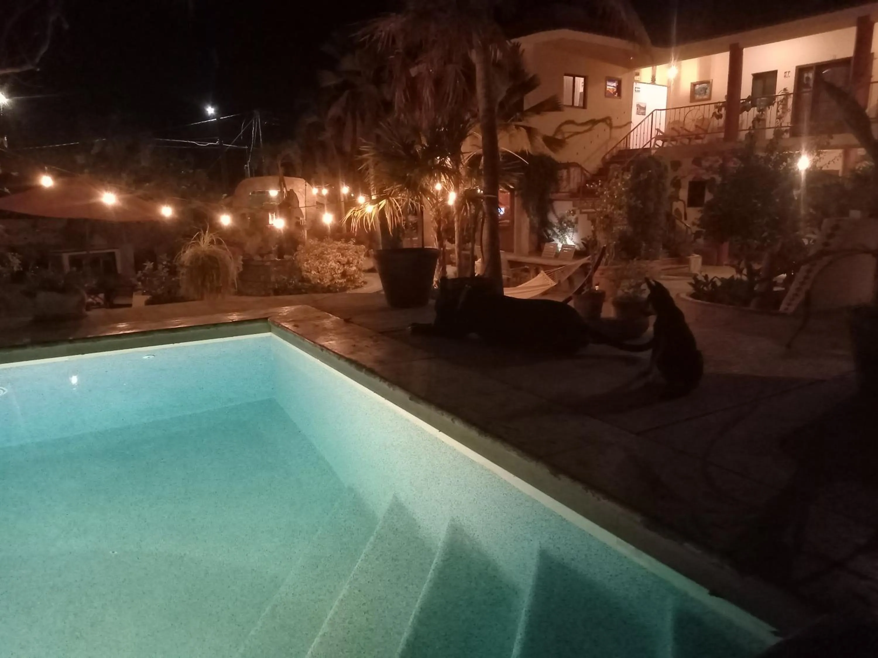 Night in Hacienda De Palmas