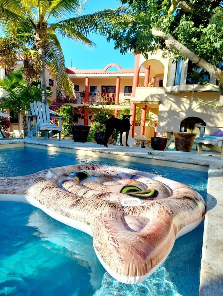 Pool view in Hacienda De Palmas
