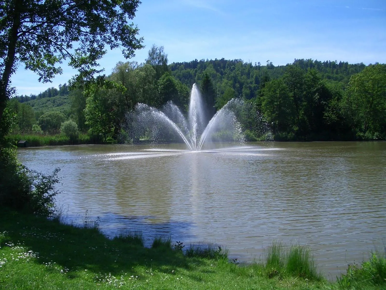 Area and facilities in Hotel Schloessmann Garni