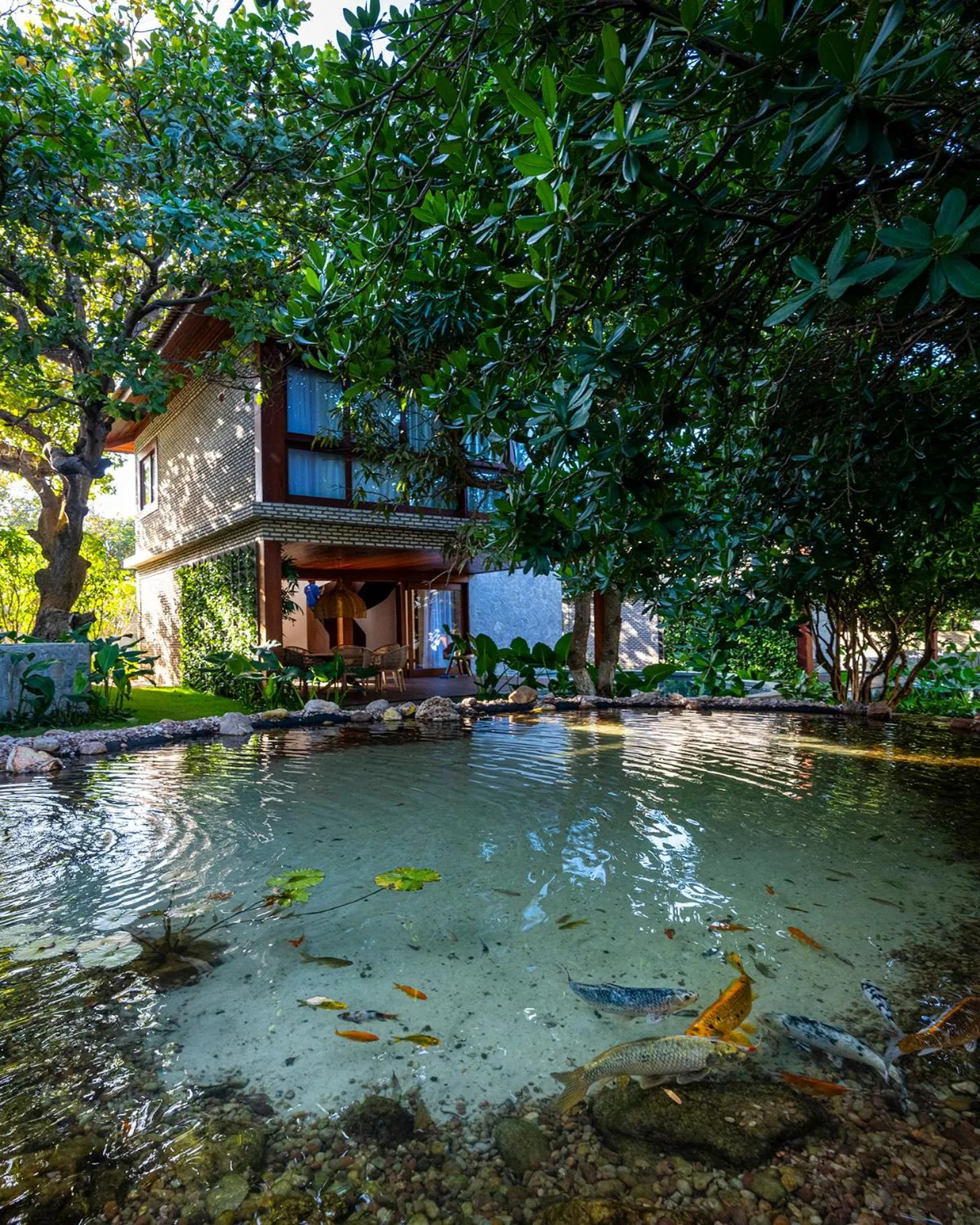 Hotel Sombra e Água Fresca