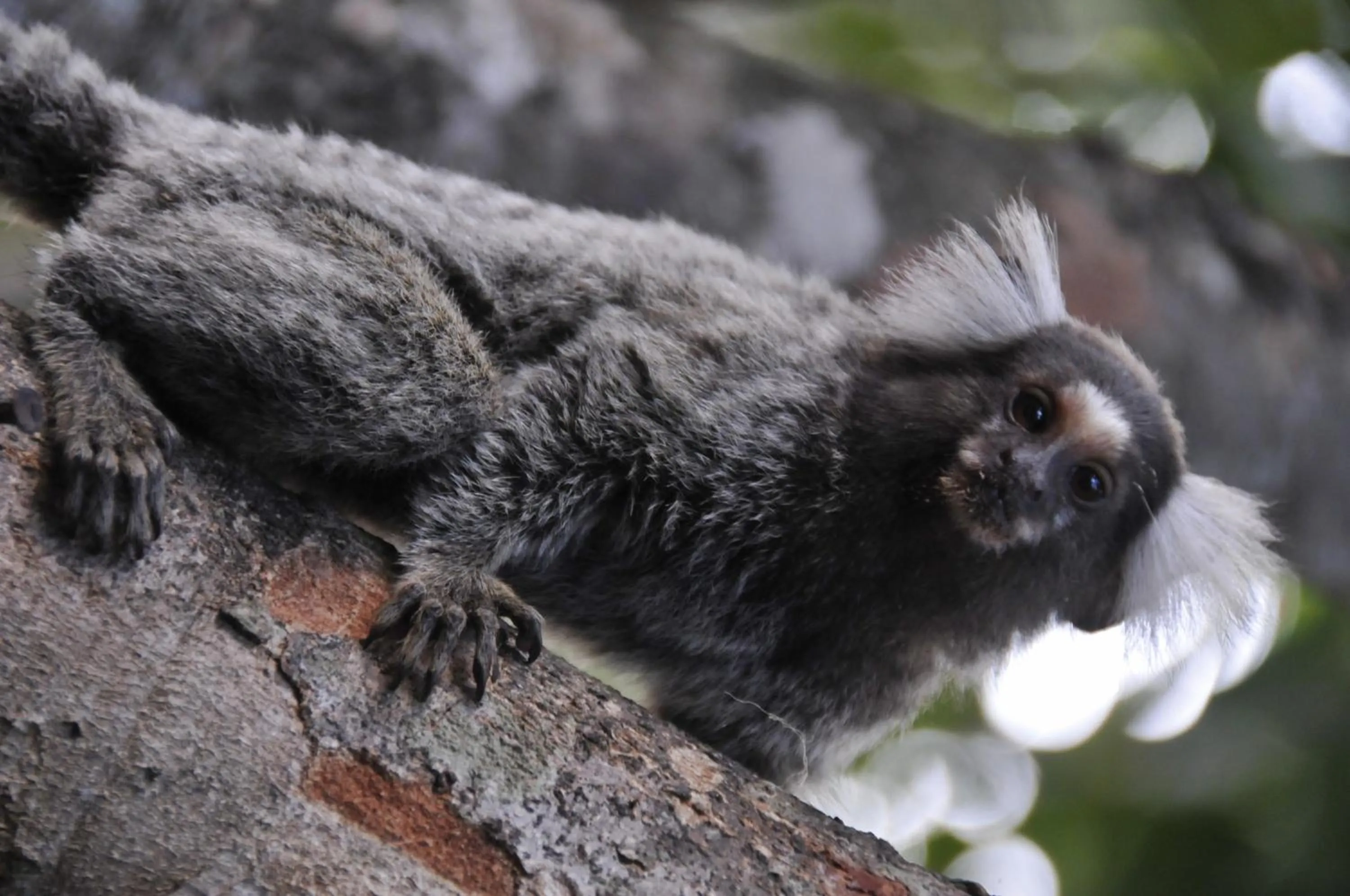 Other in Hotel Sombra e Água Fresca