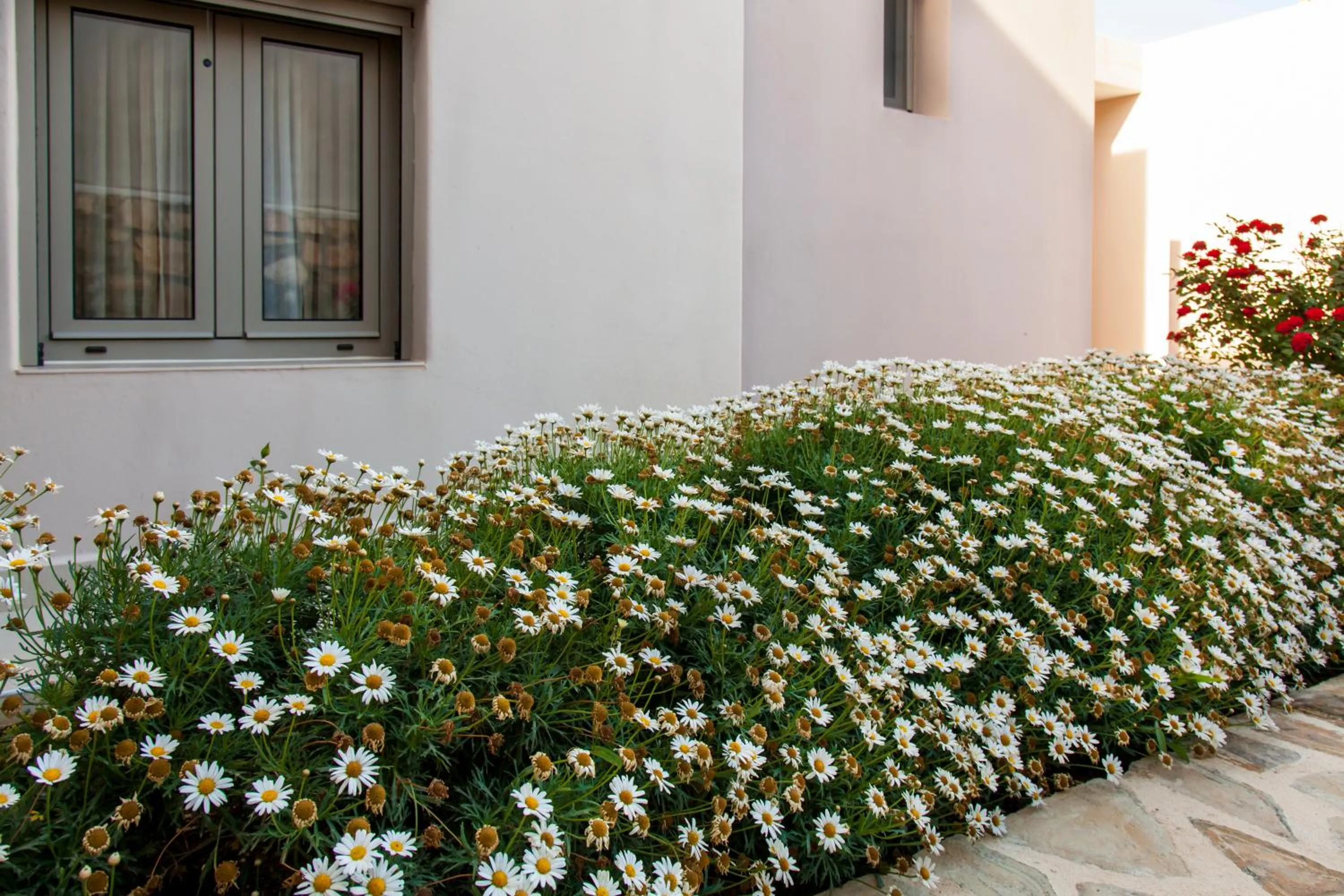 Mythos Suites Diskos