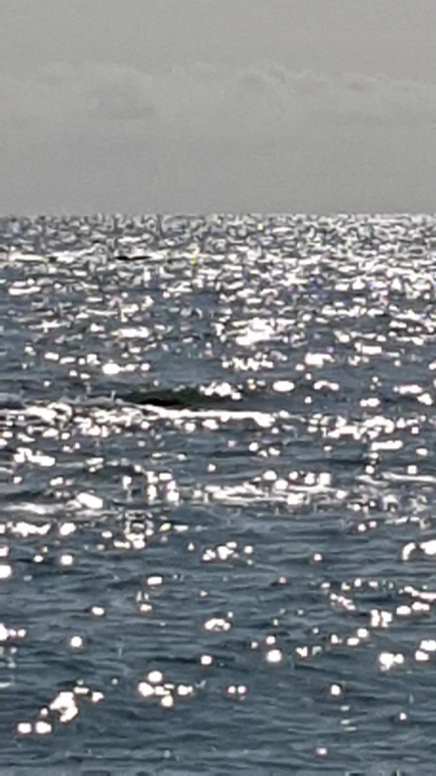 La Casa di Isabella Loreto