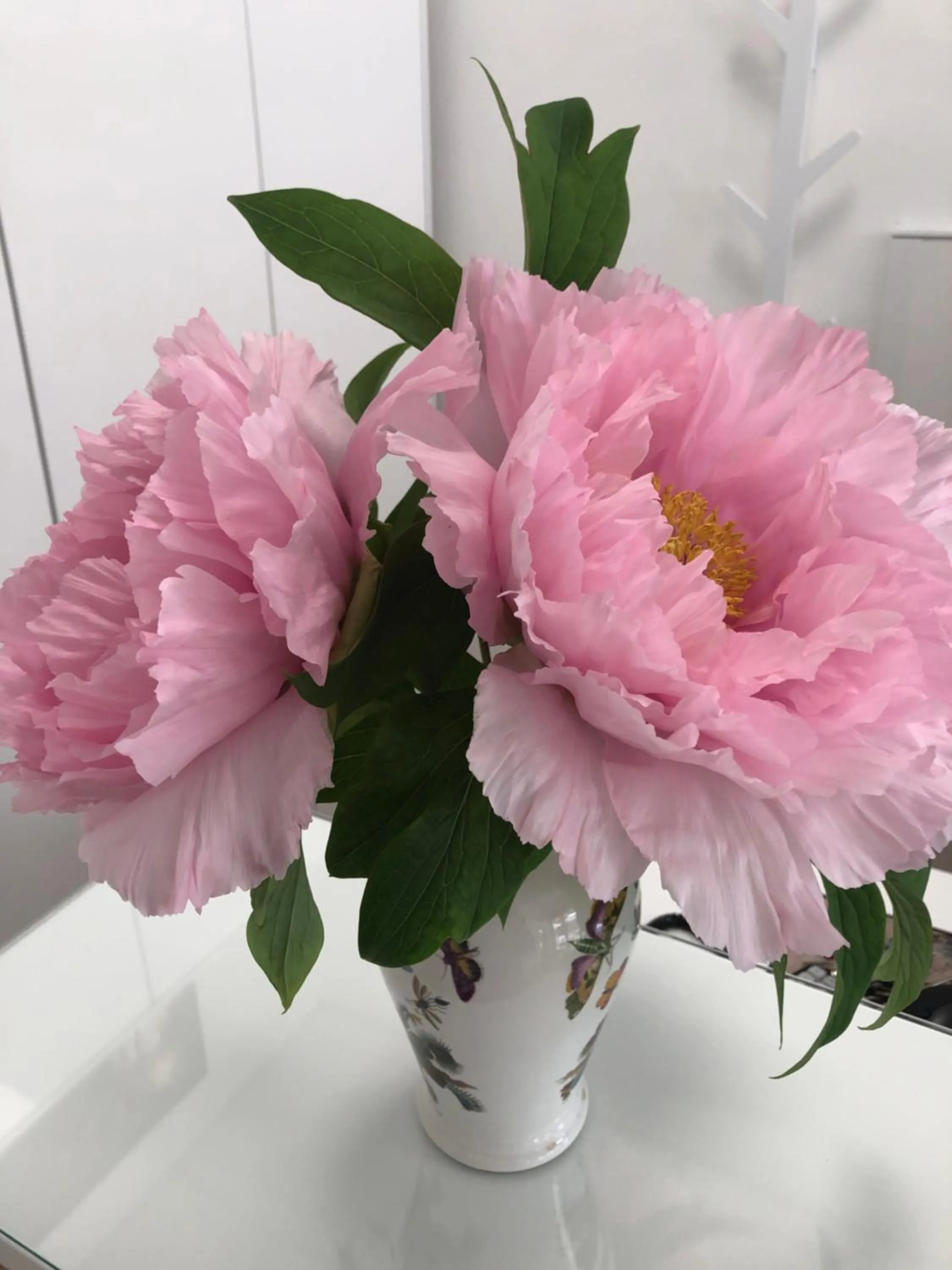 La Casa di Isabella Loreto