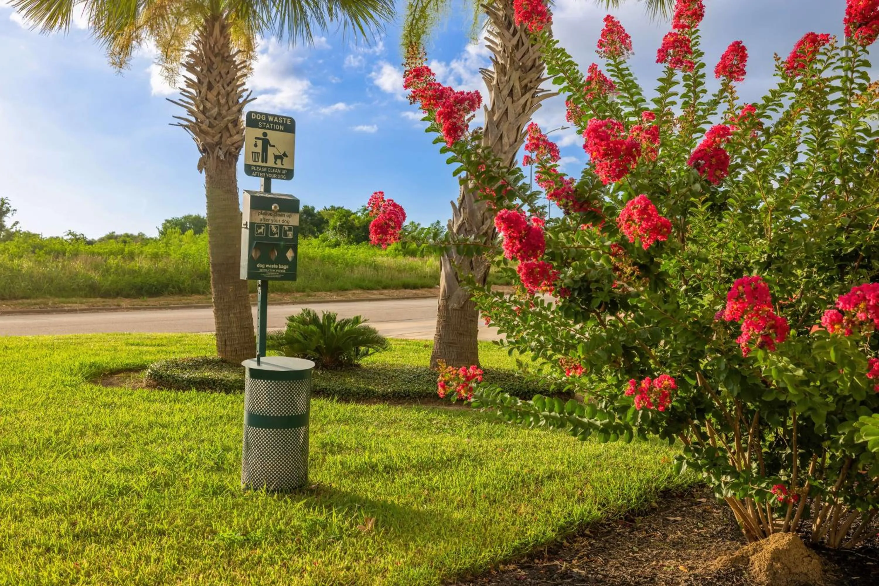 Garden in Hampton Inn & Suites Brenham