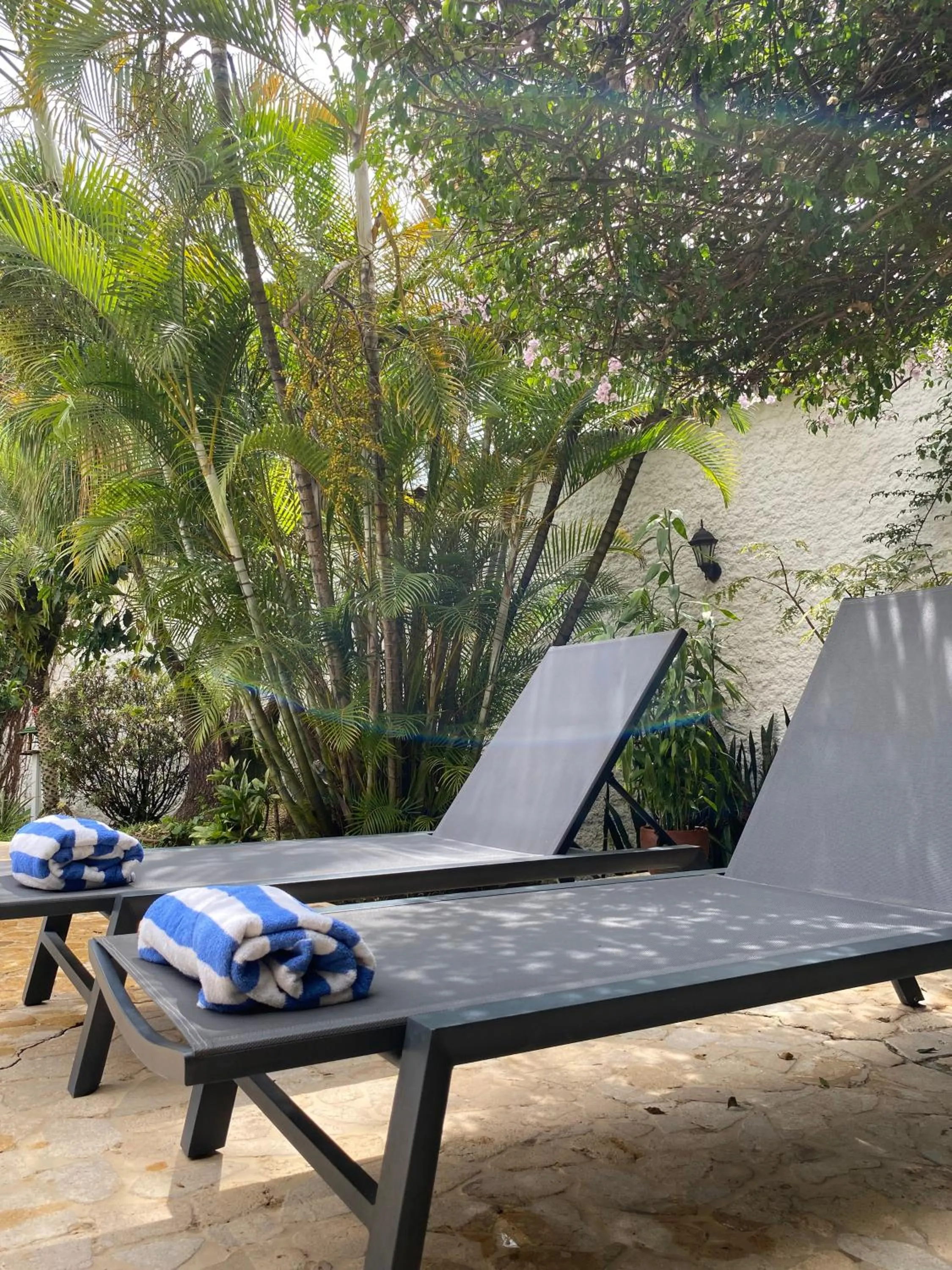 Swimming pool in Hotel Portales Del Campestre