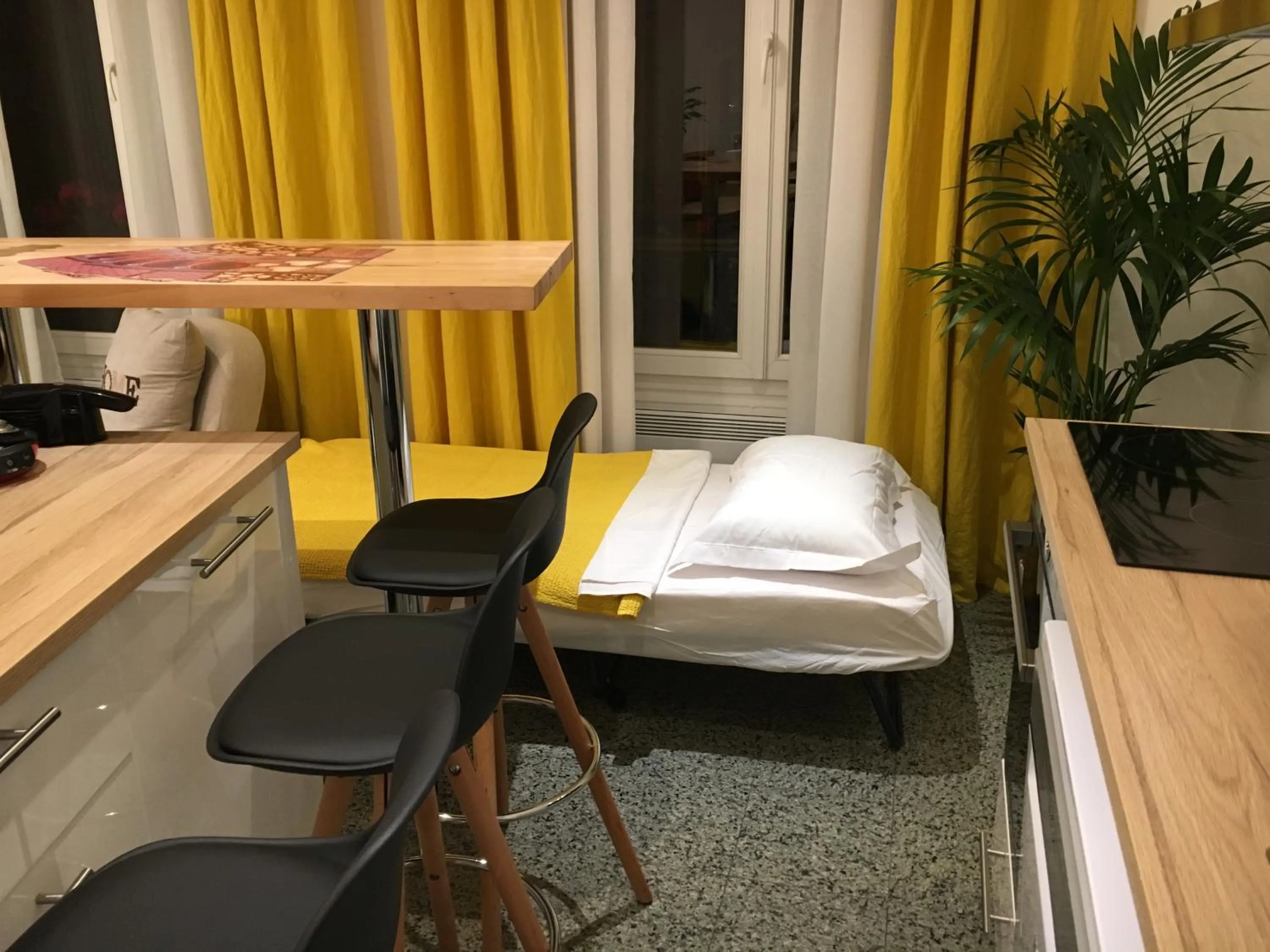 Bed in Paris City Flat App entier N106 F3