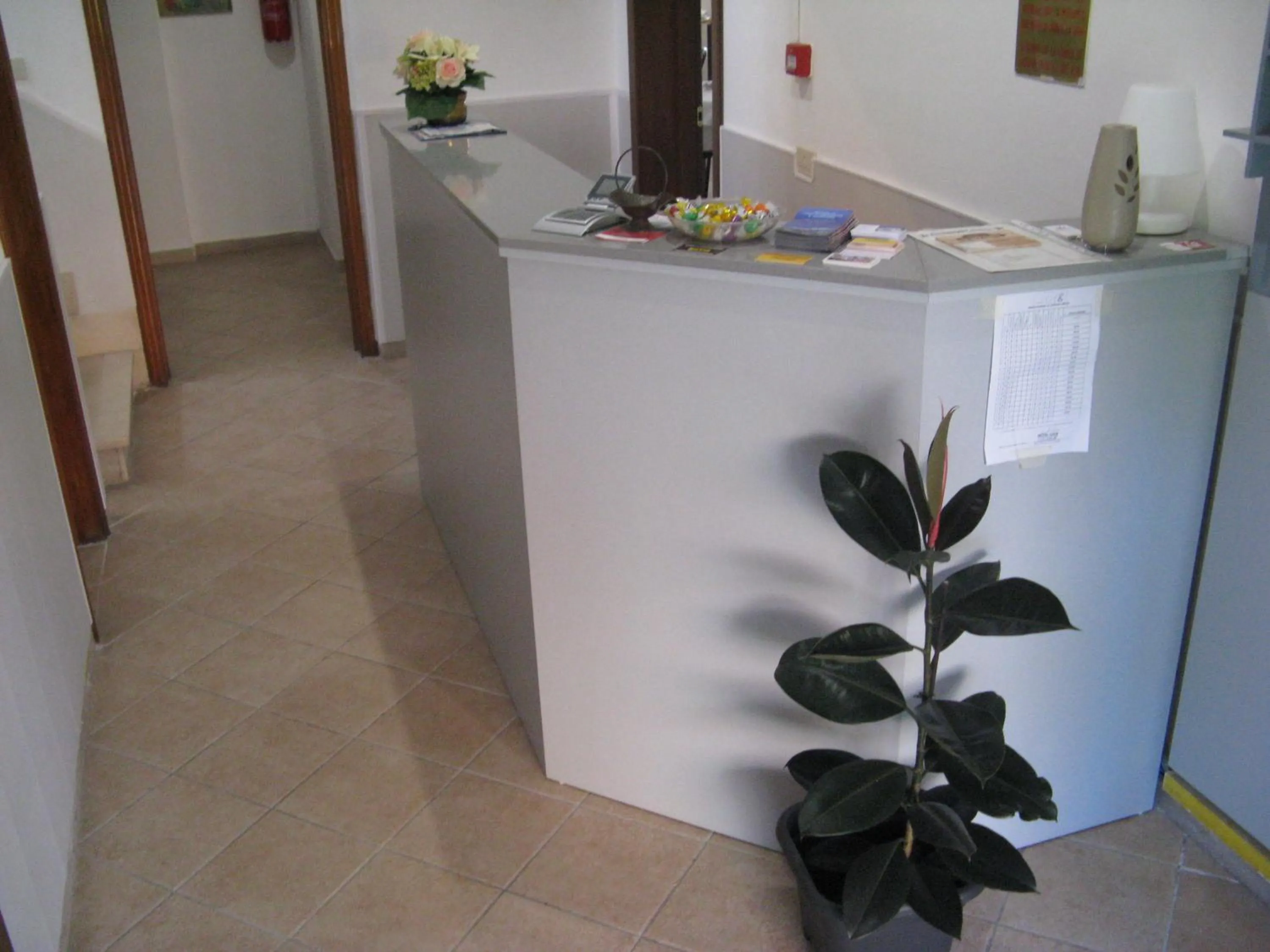 Lobby or reception in Hotel Luca