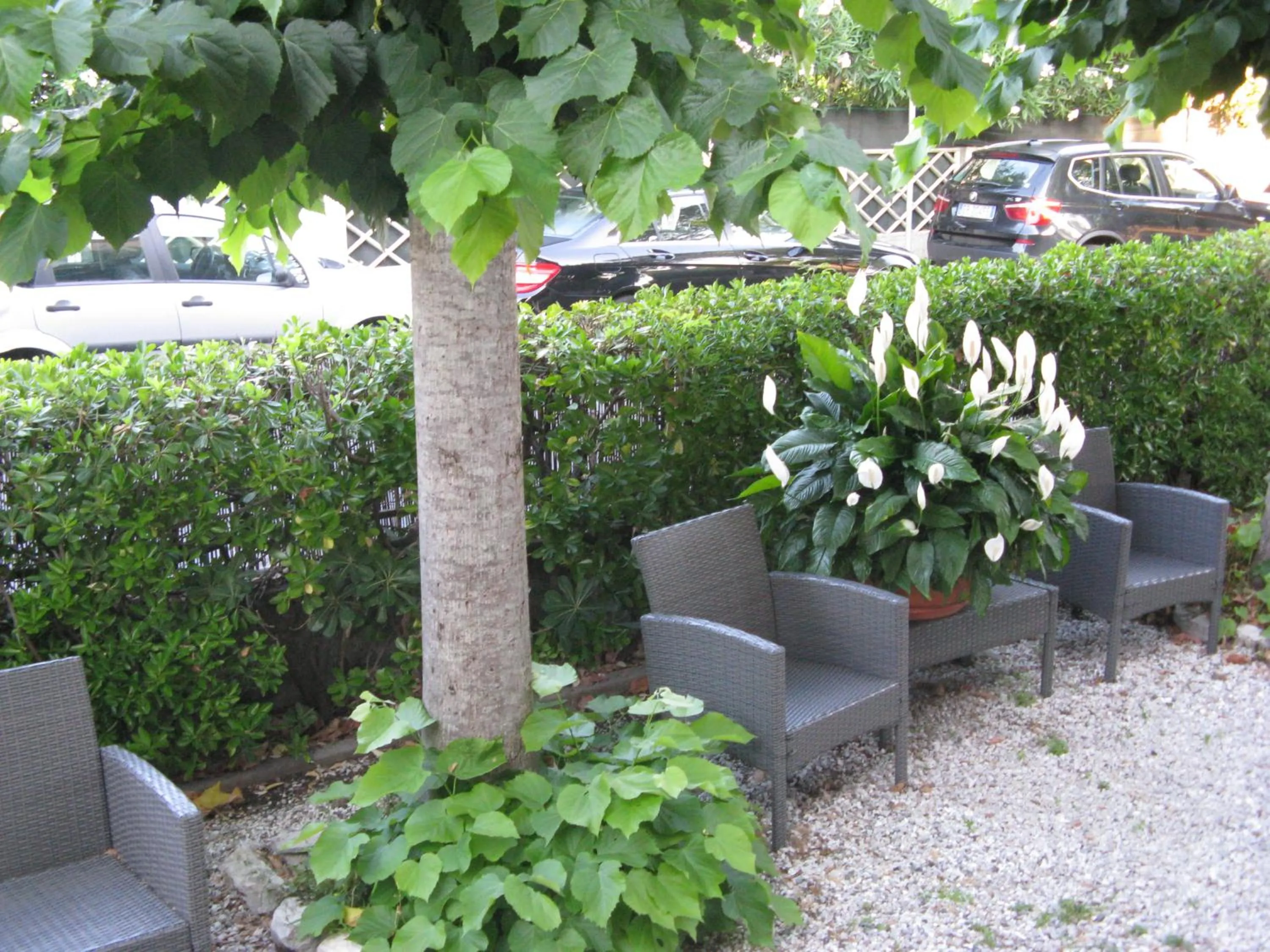 Garden in Hotel Luca