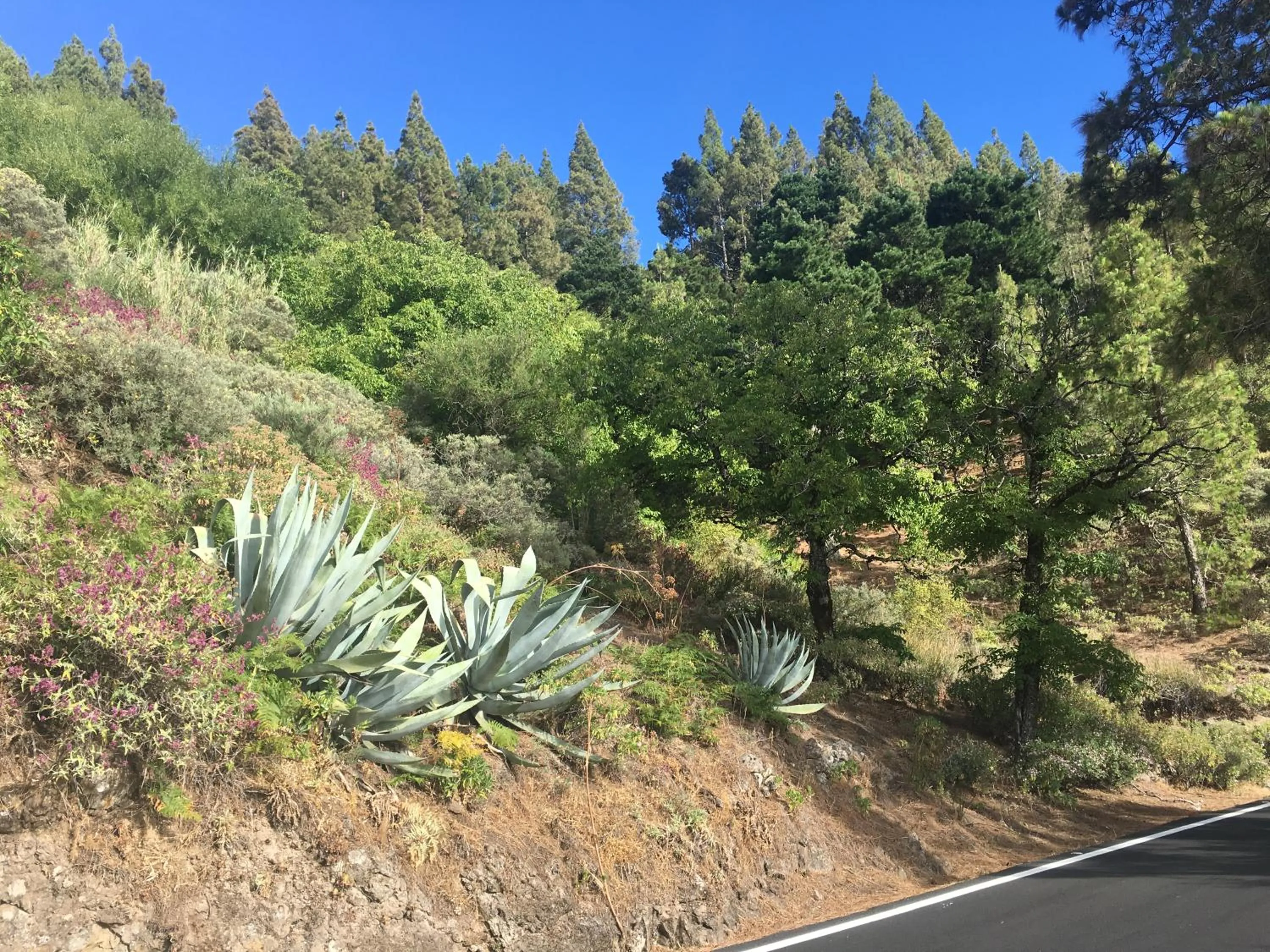 Nearby landmark in La Casita de Las Palmas VV