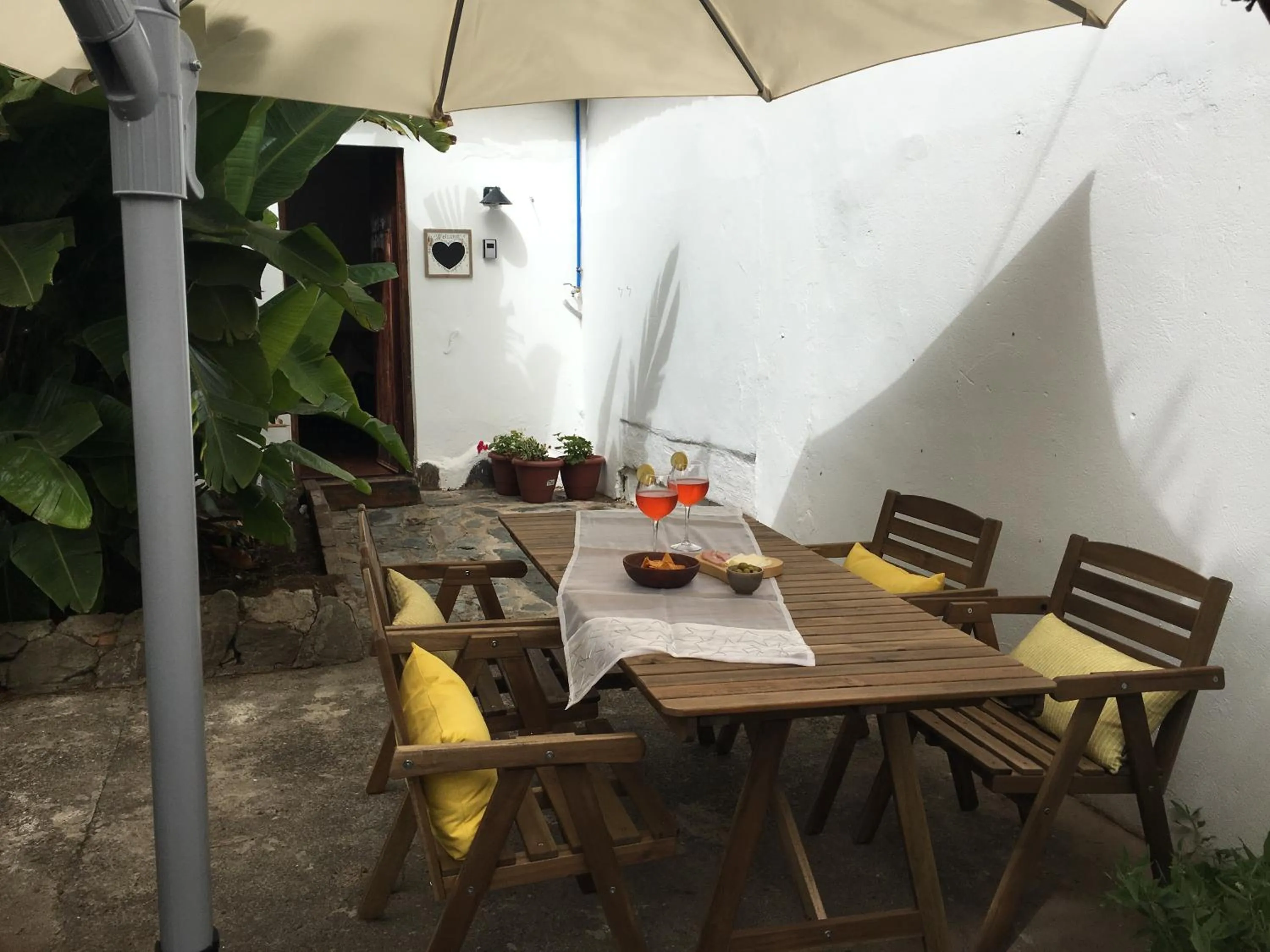 Garden in La Casita de Las Palmas VV