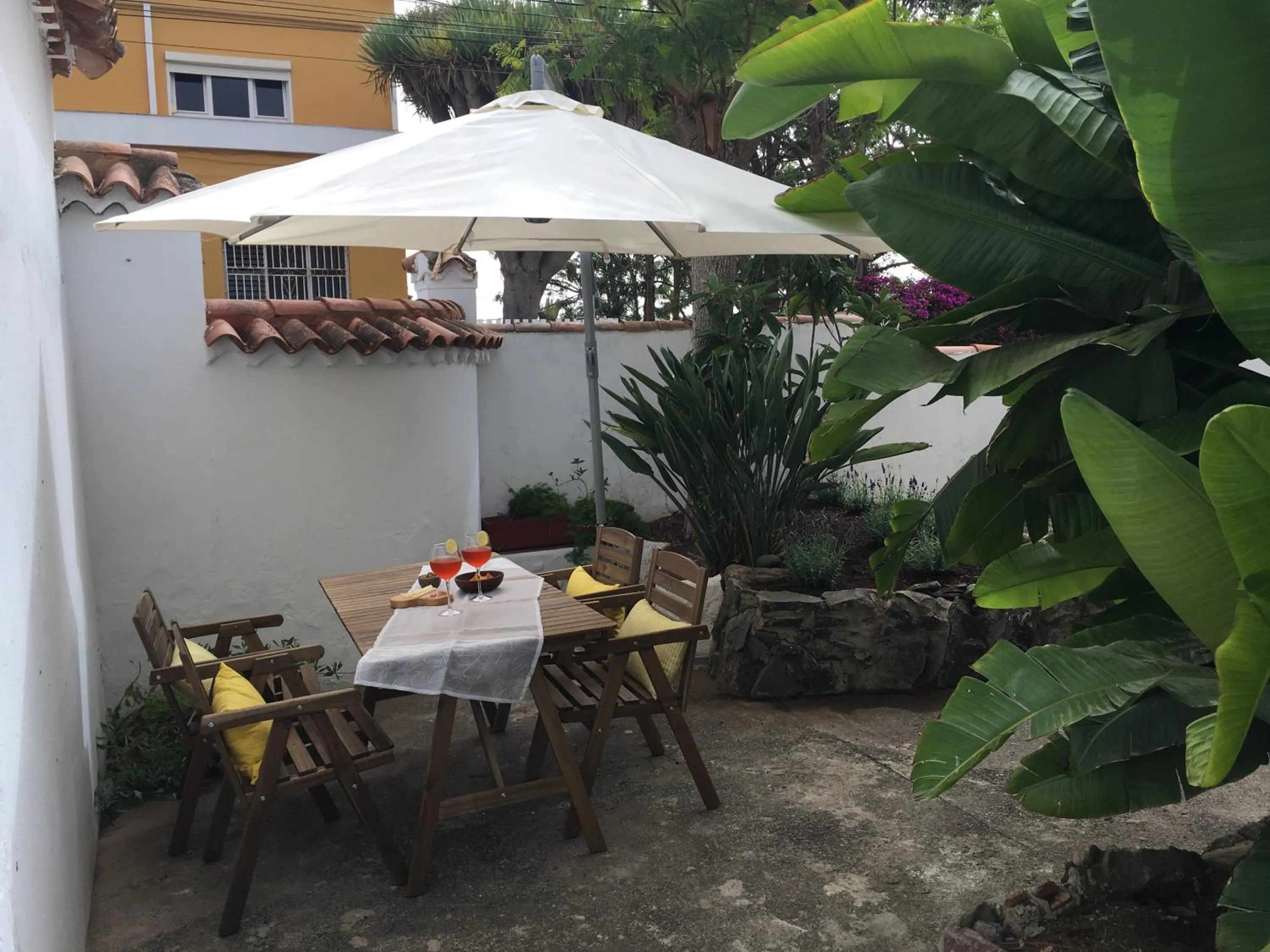 Garden in La Casita de Las Palmas VV