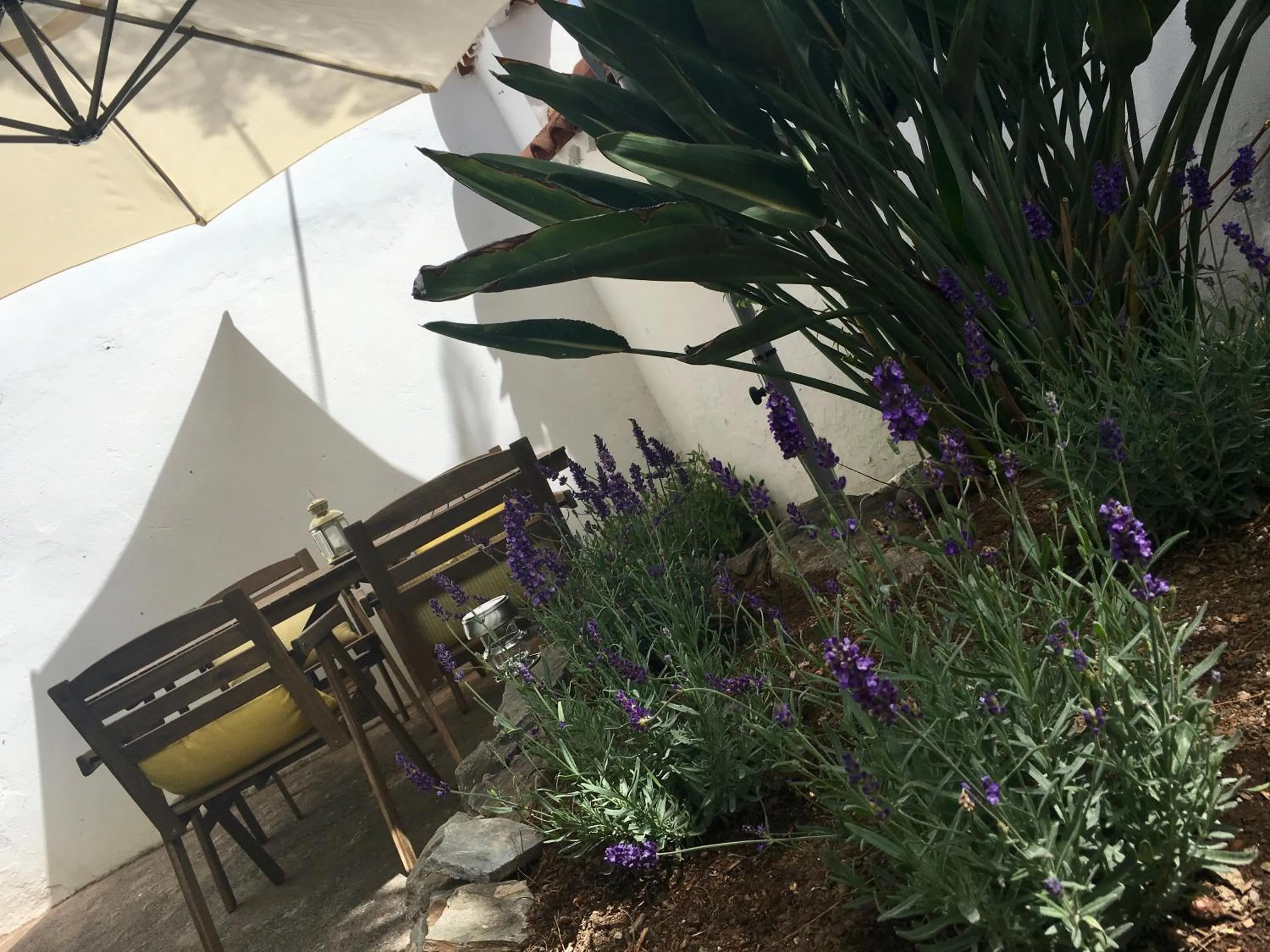 Patio in La Casita de Las Palmas VV