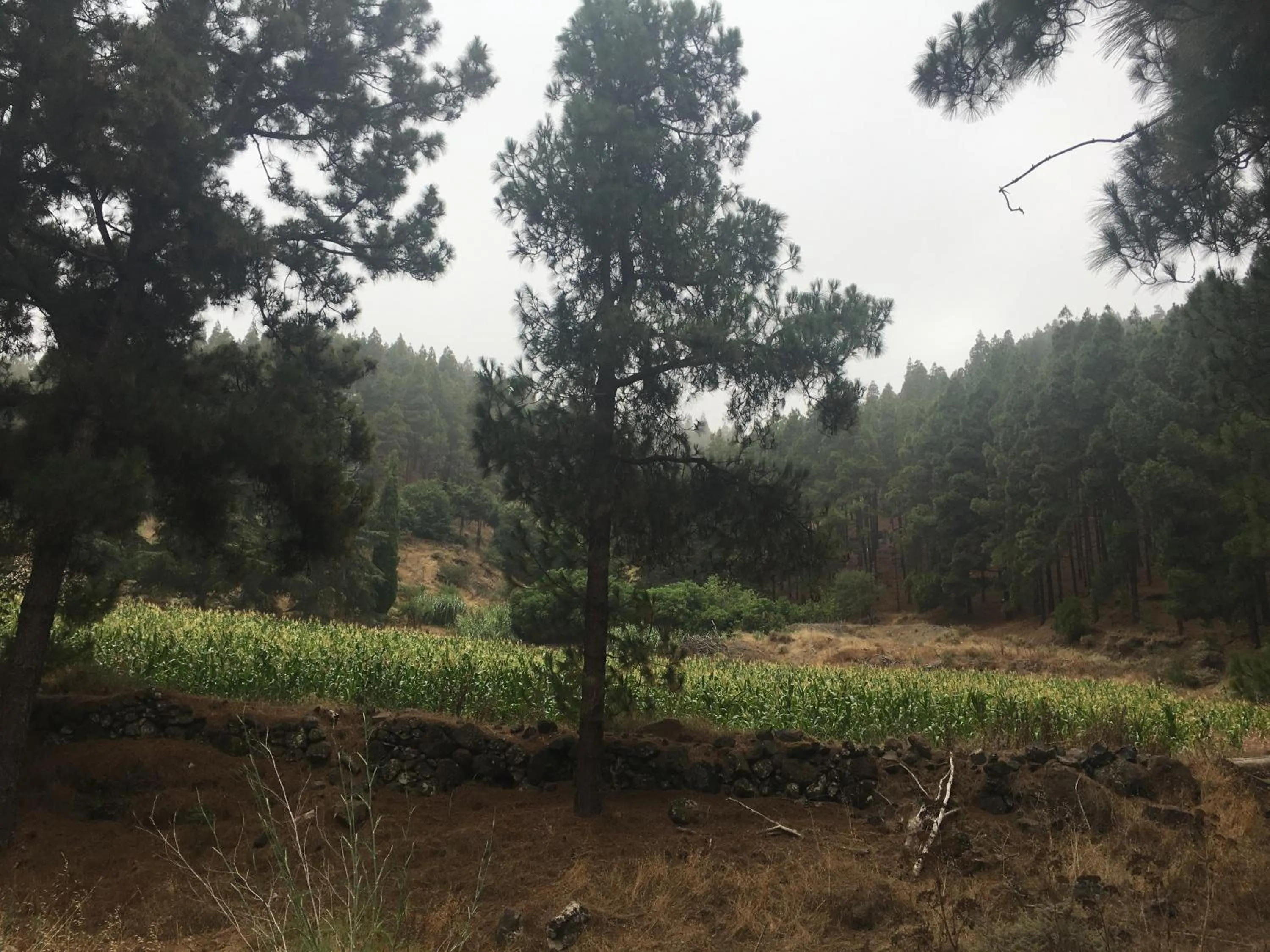 Nearby landmark in La Casita de Las Palmas VV