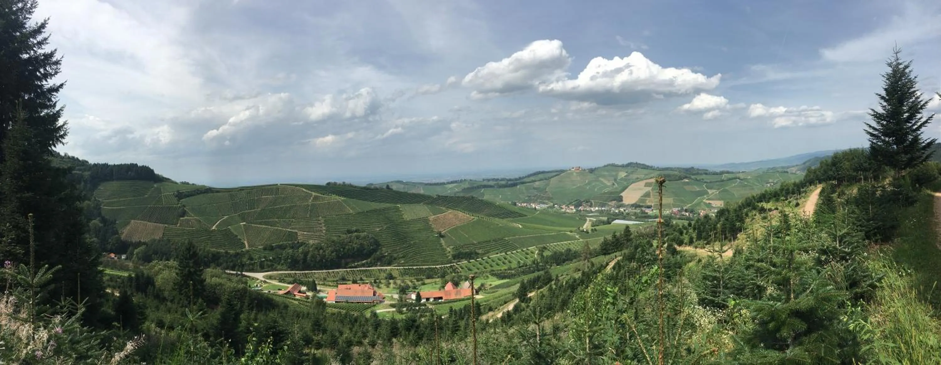 Natural landscape in Hotel Linde Durbach