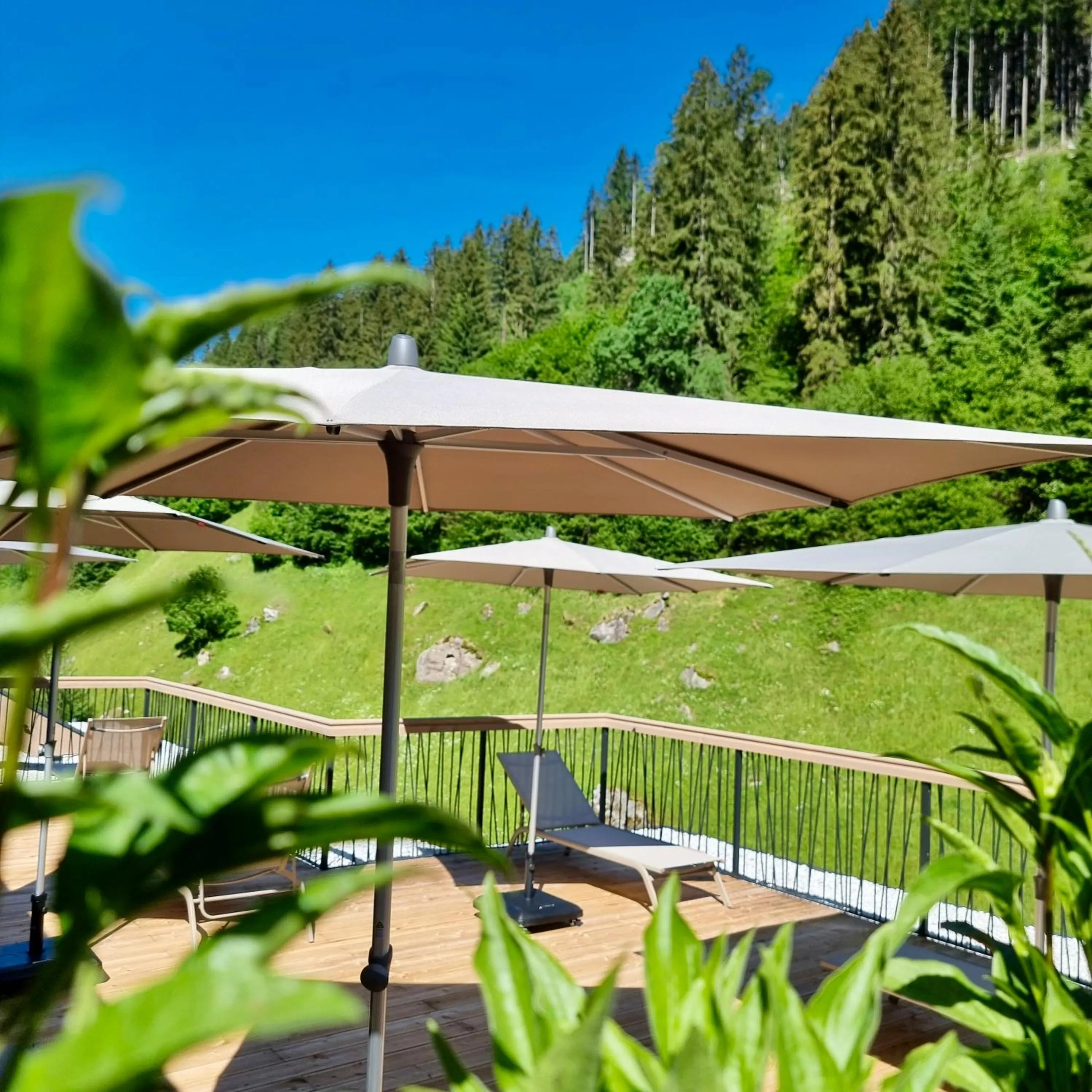 Garden in ZillergrundRock Luxury Mountain Resort