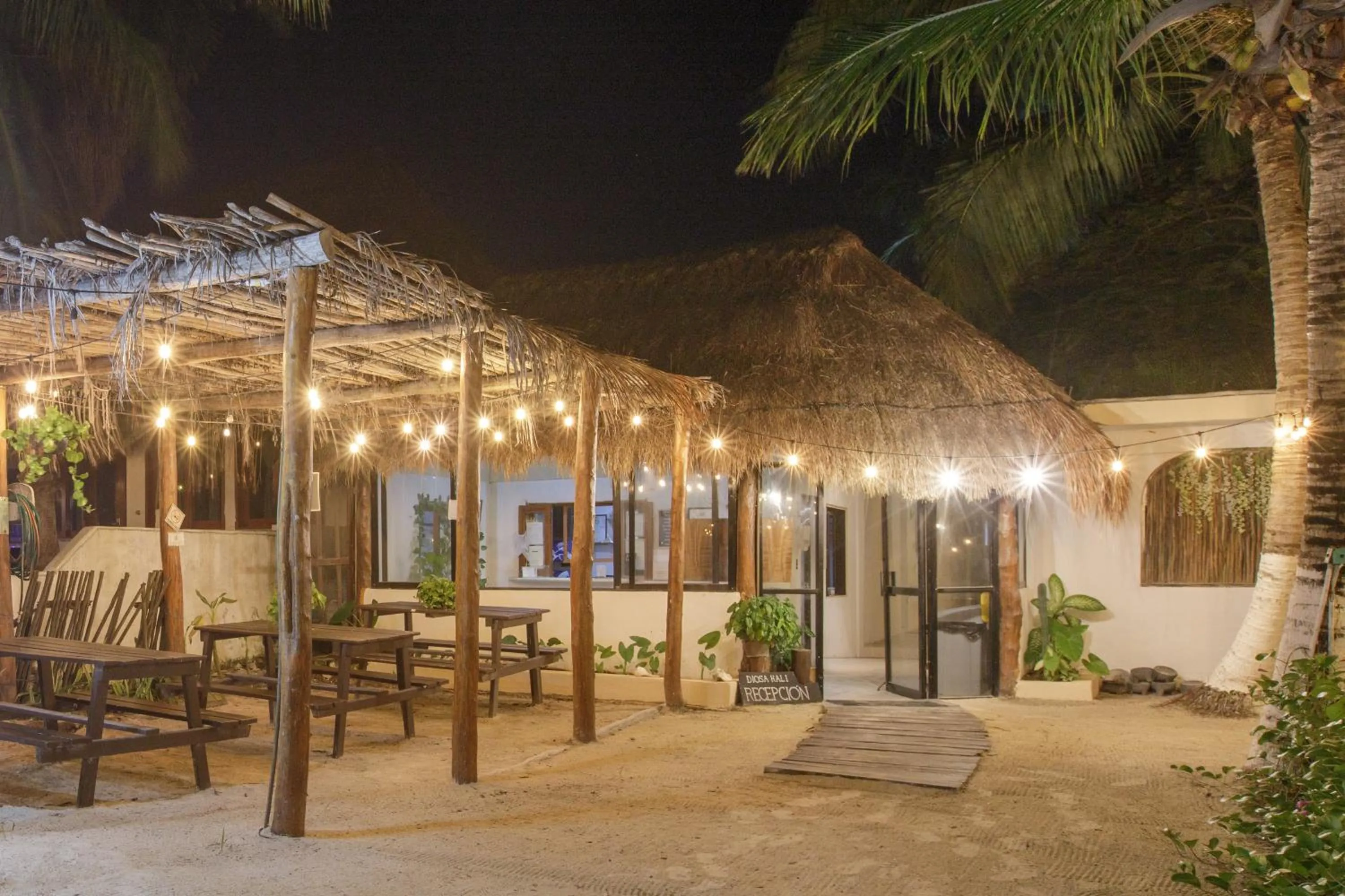 Night in La Diosa Kali Beach Front Hotel