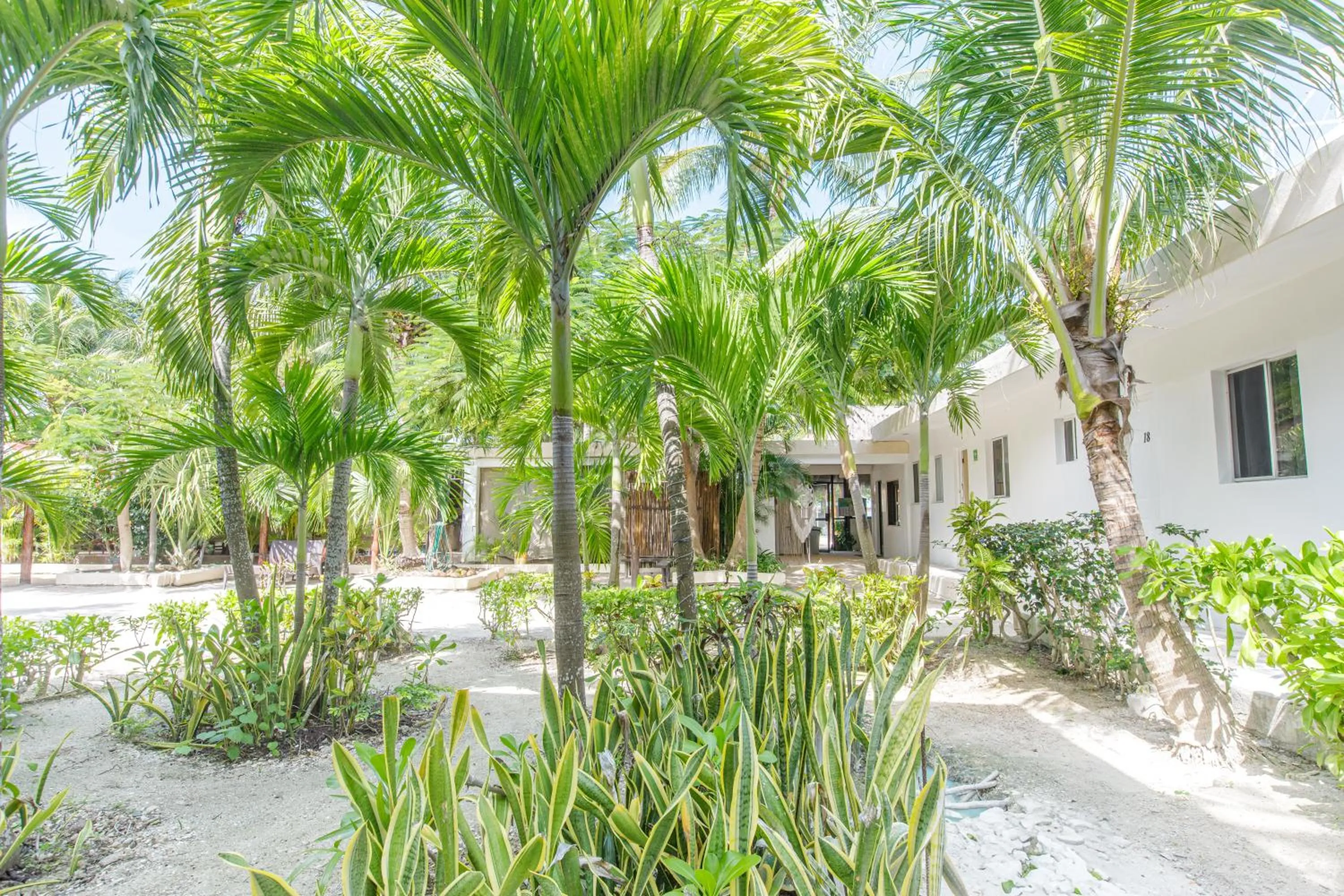 Day in La Diosa Kali Beach Front Hotel